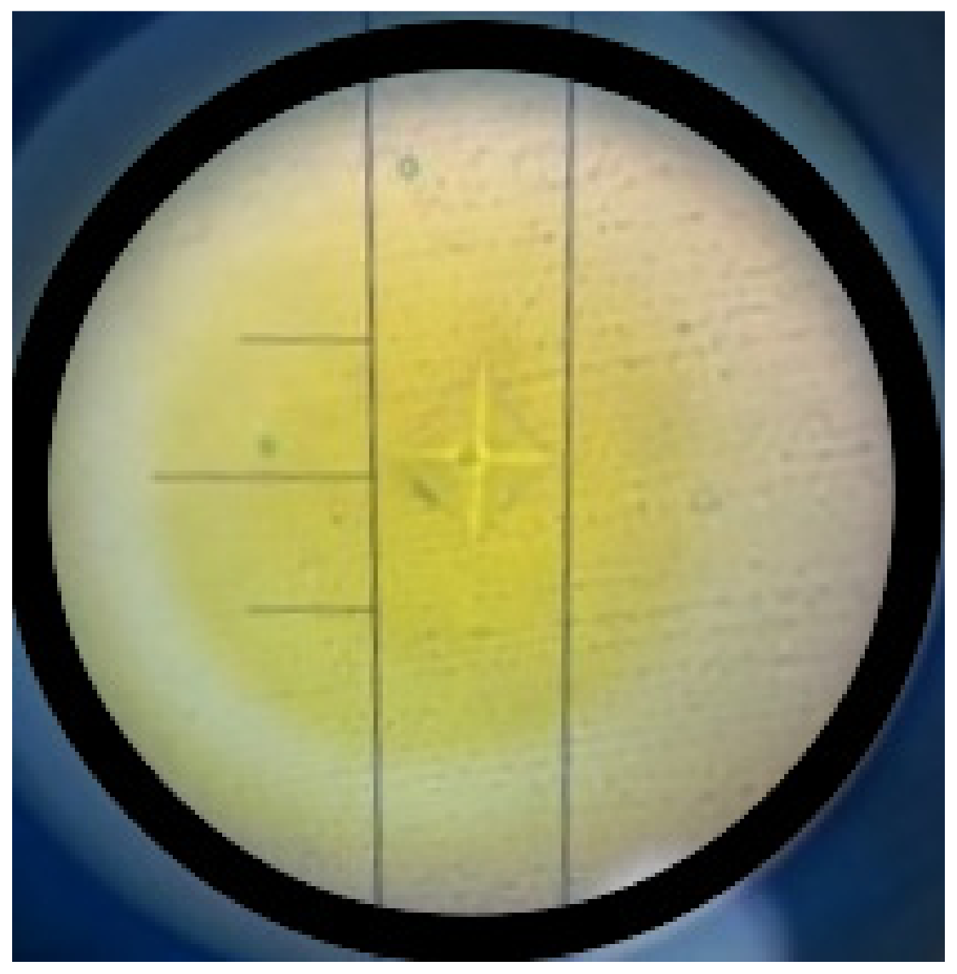 Medicina 61 00590 g003