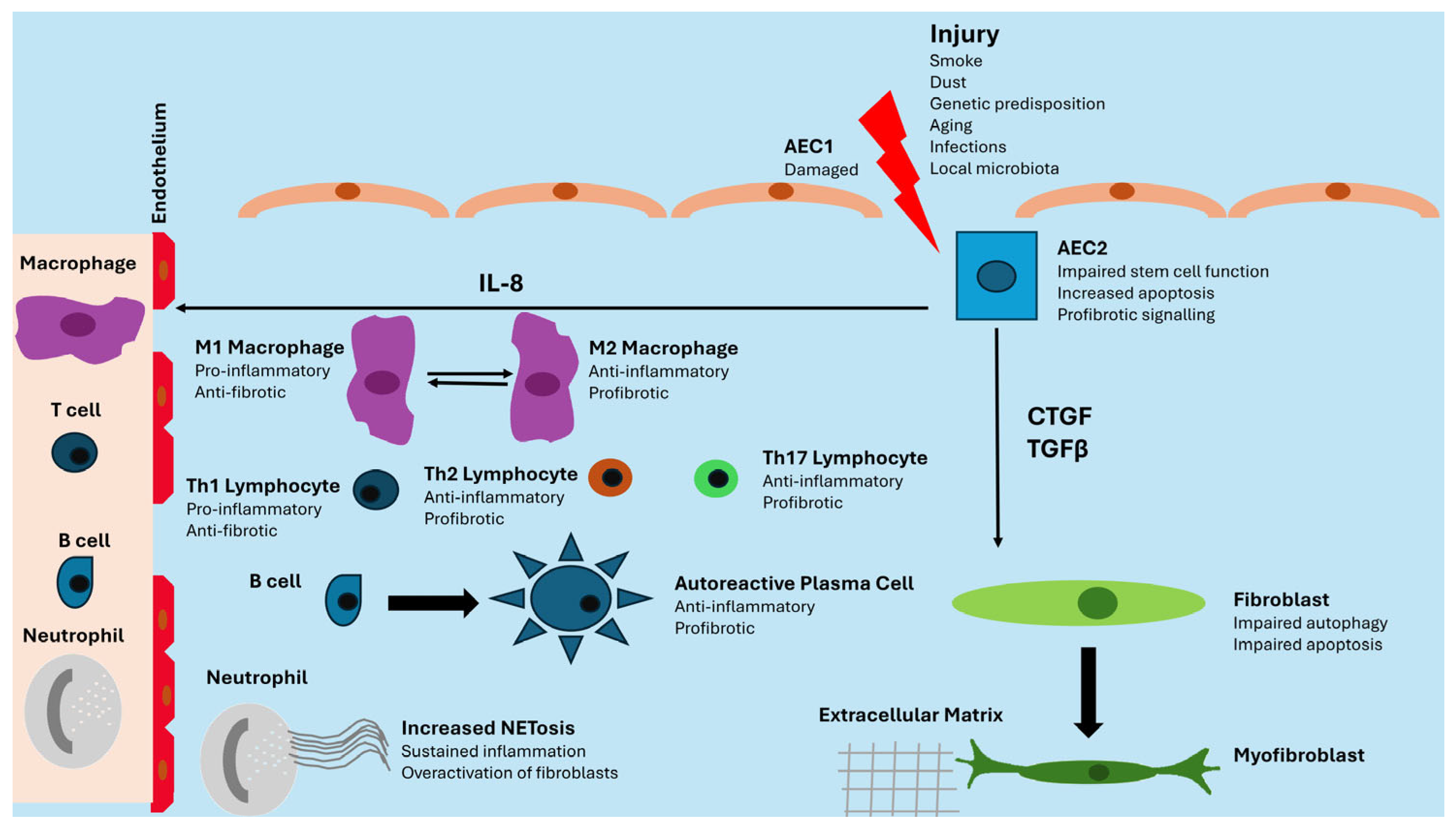 Medicina 61 00599 g001