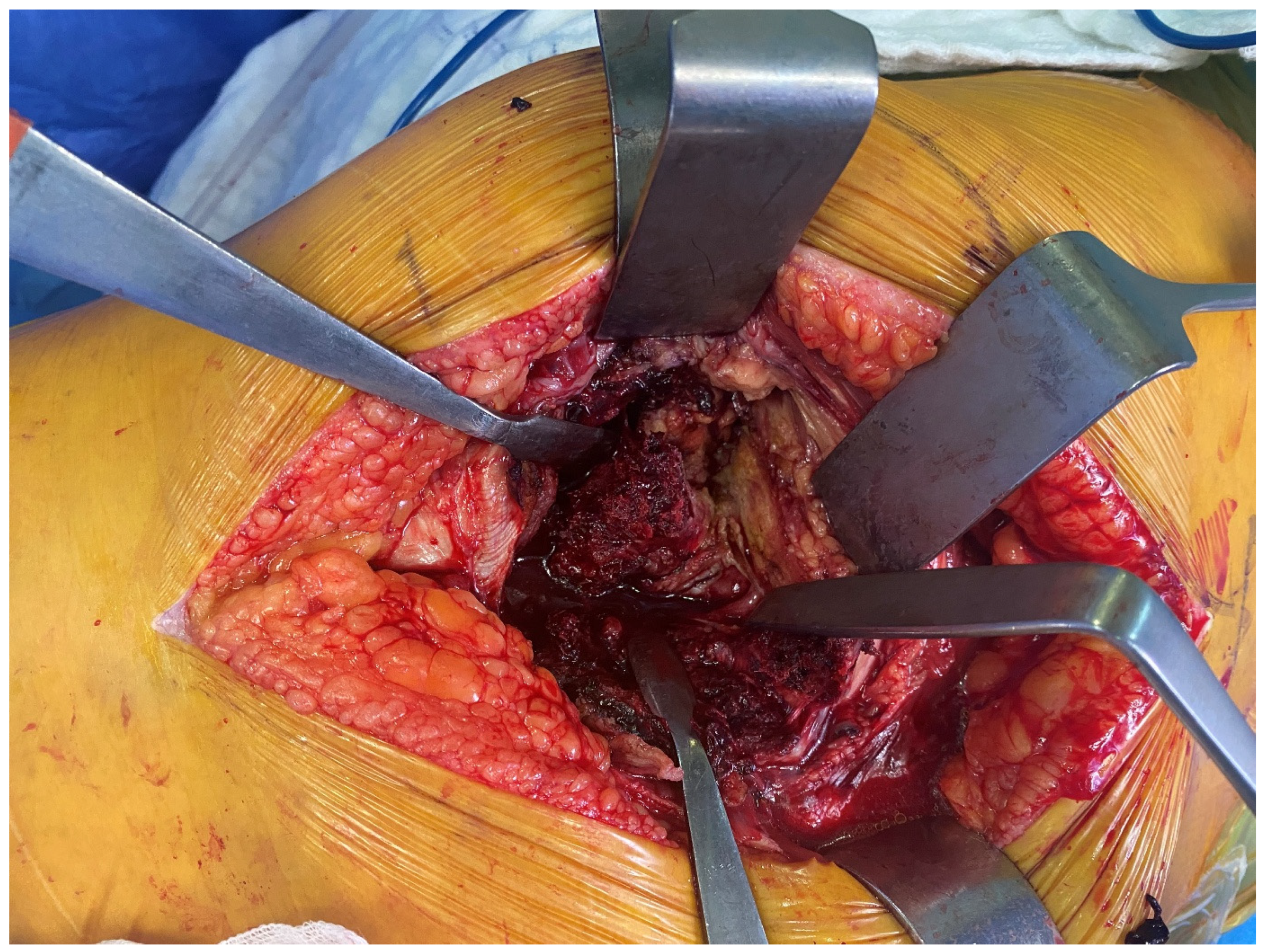 Medicina 61 00605 g002