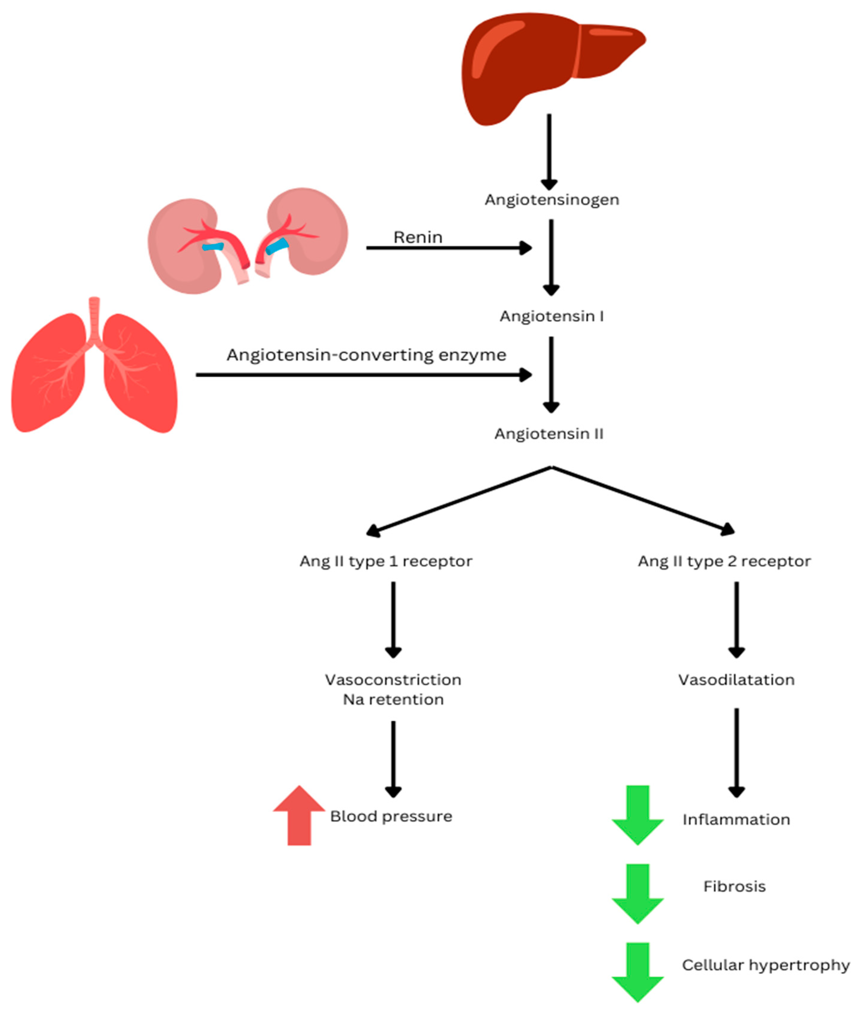 Medicina 61 00607 g001
