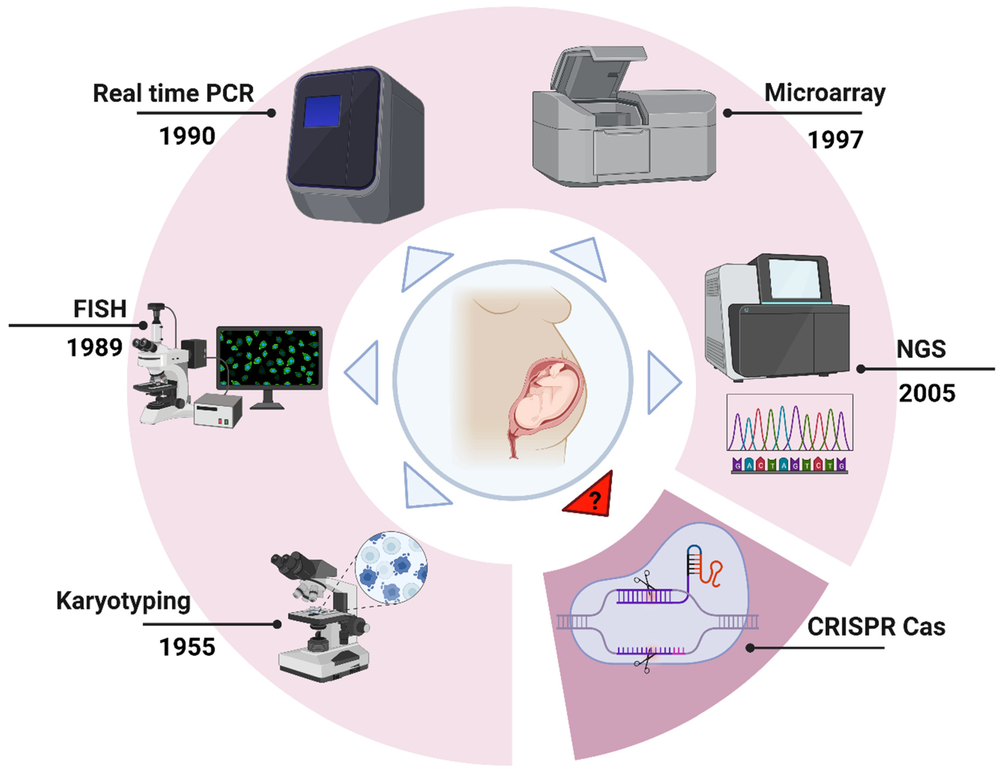 Medicina 61 00610 g001