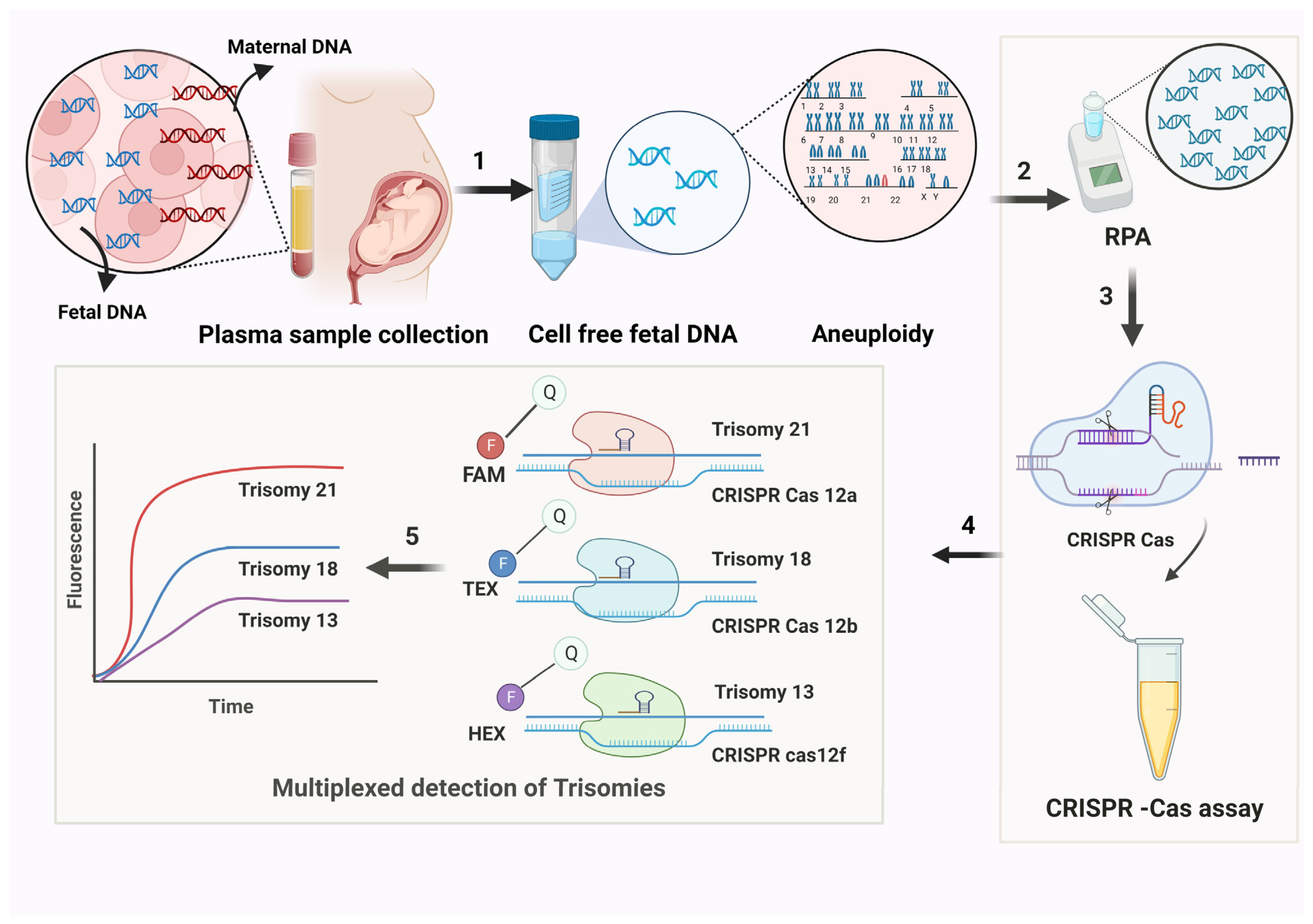 Medicina 61 00610 g002