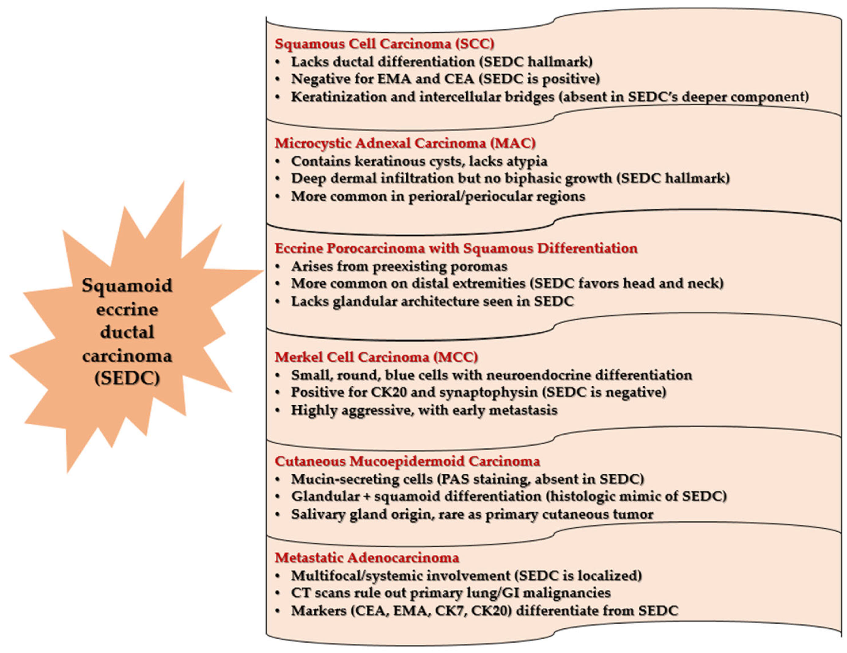 Medicina 61 00612 g008