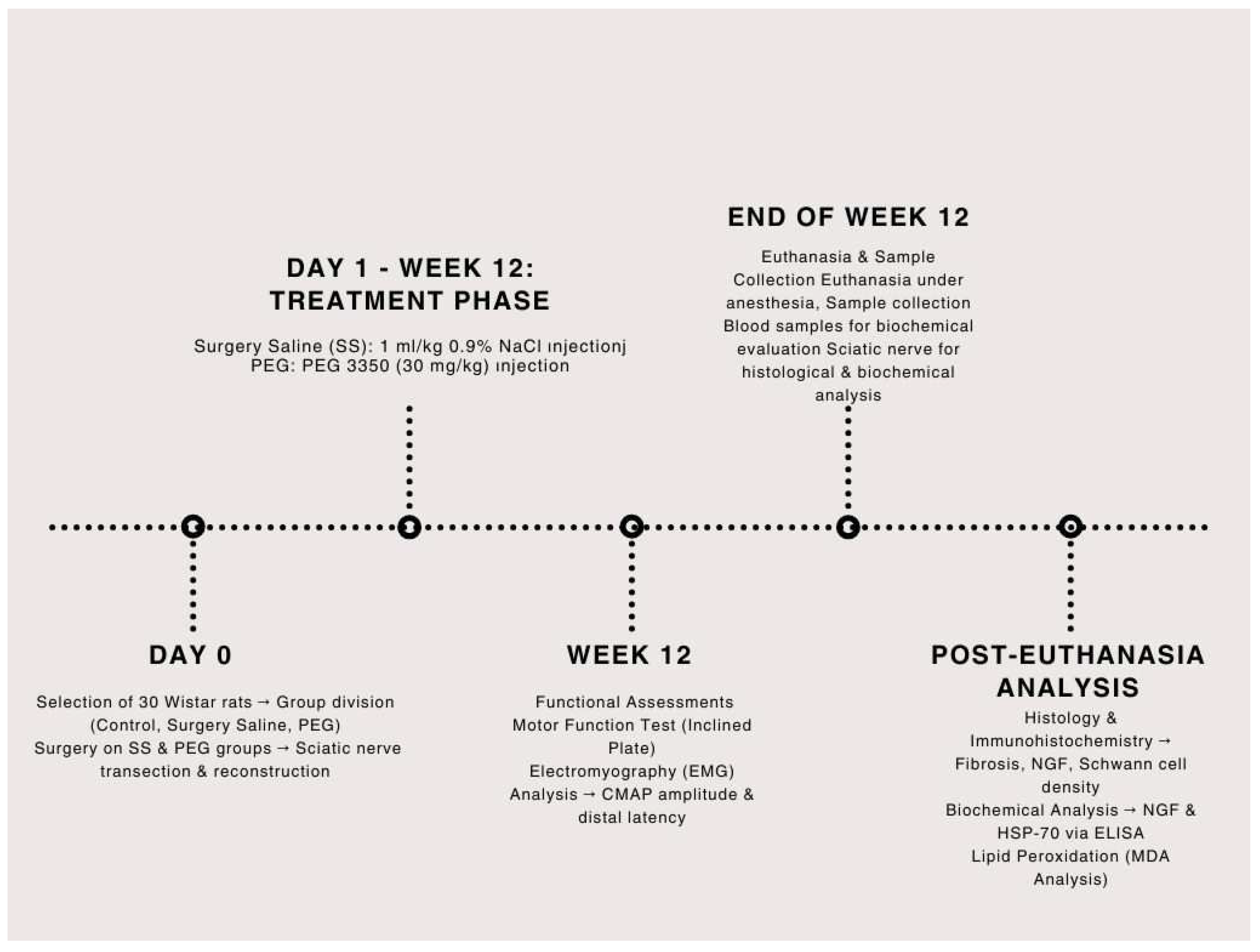Medicina 61 00624 g001