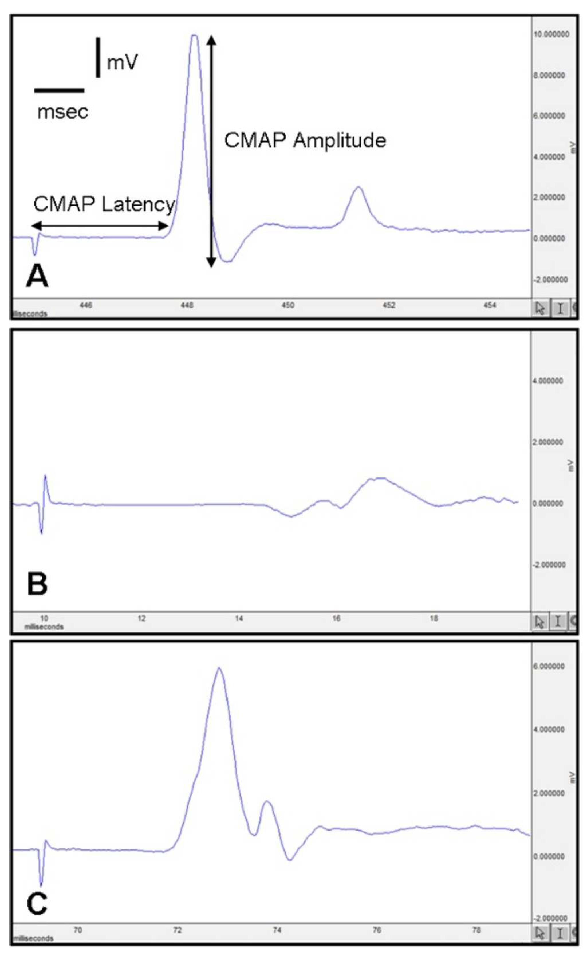 Medicina 61 00624 g002