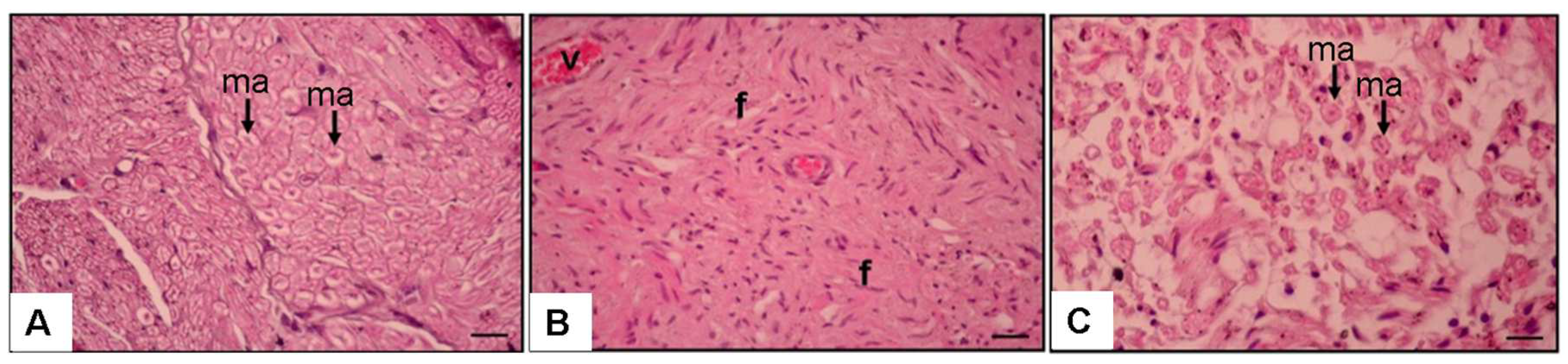 Medicina 61 00624 g003