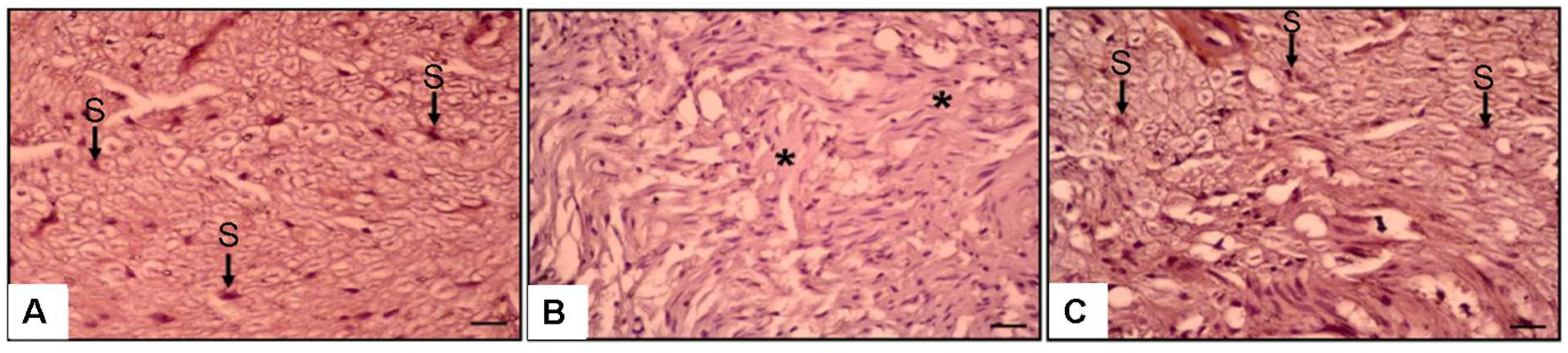 Medicina 61 00624 g004