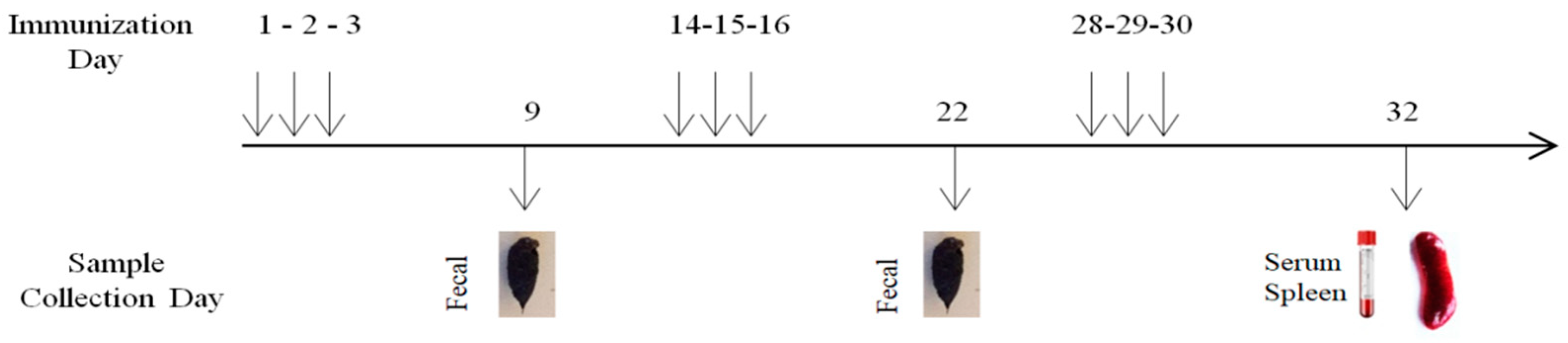 Medicina 61 00633 g001