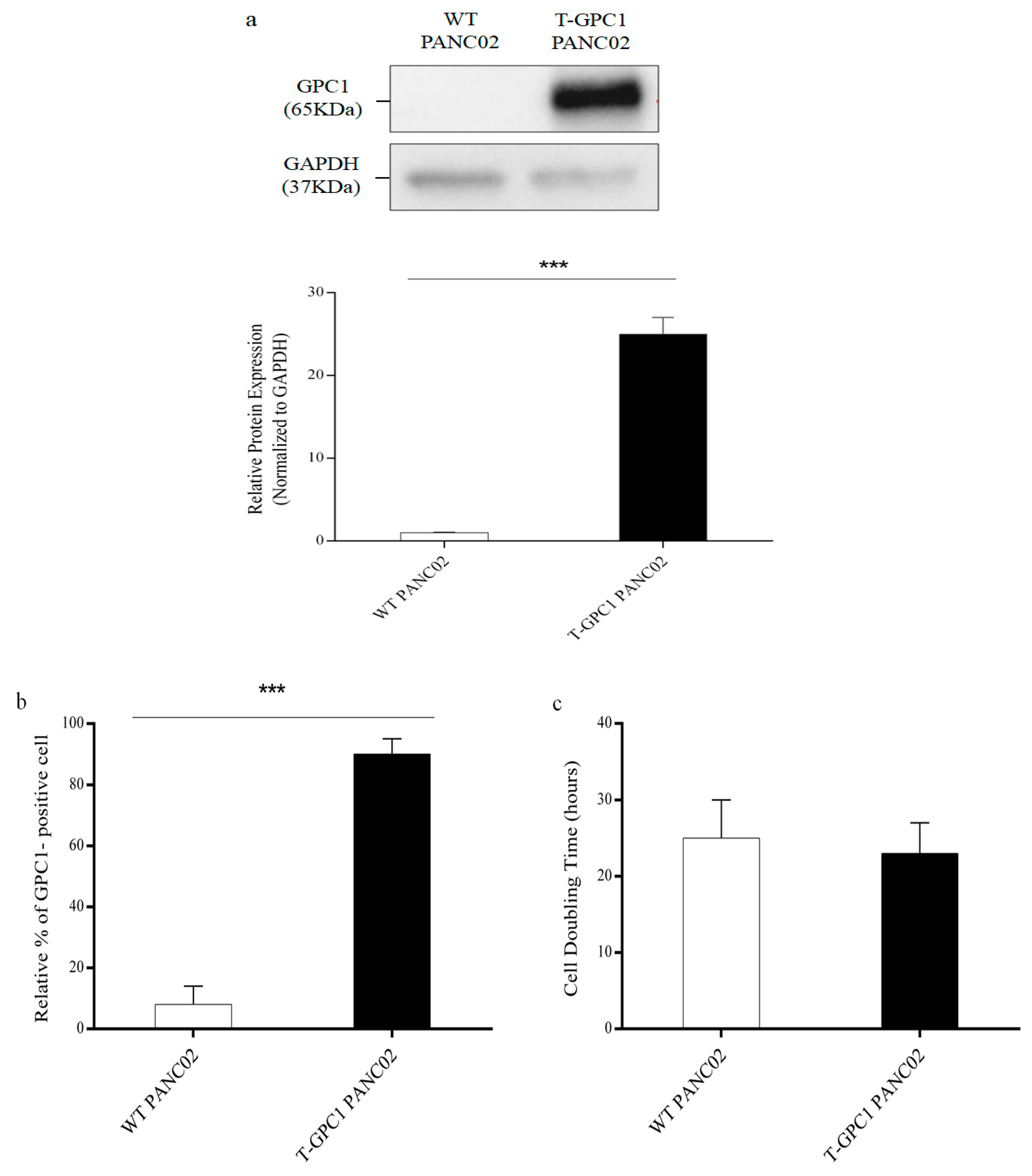 Medicina 61 00633 g003