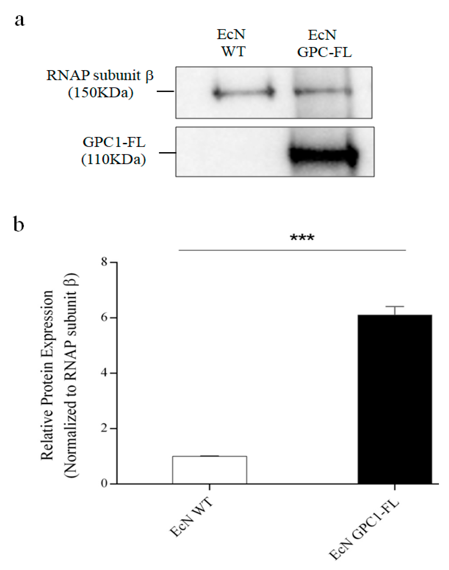 Medicina 61 00633 g005