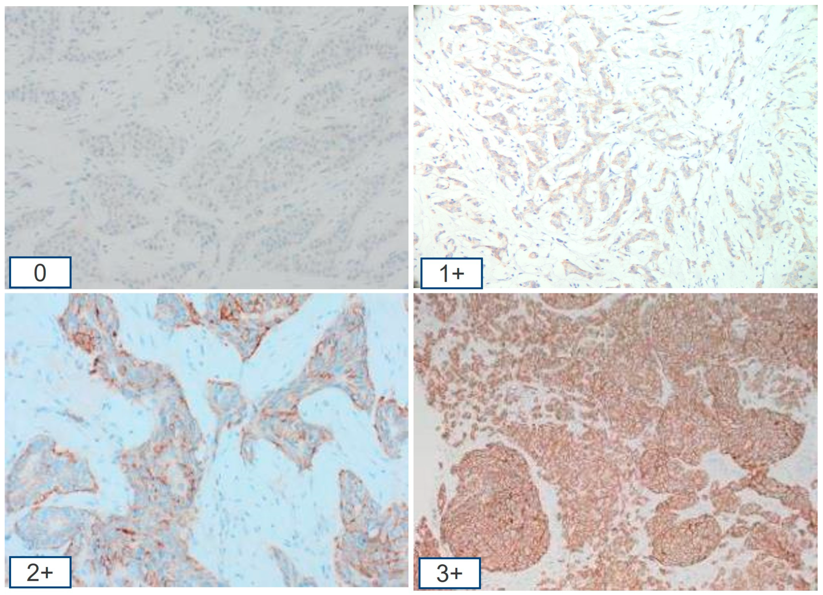 Medicina 61 00644 g001