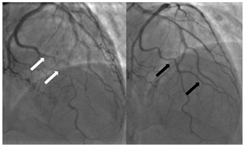Medicina 61 00650 i003