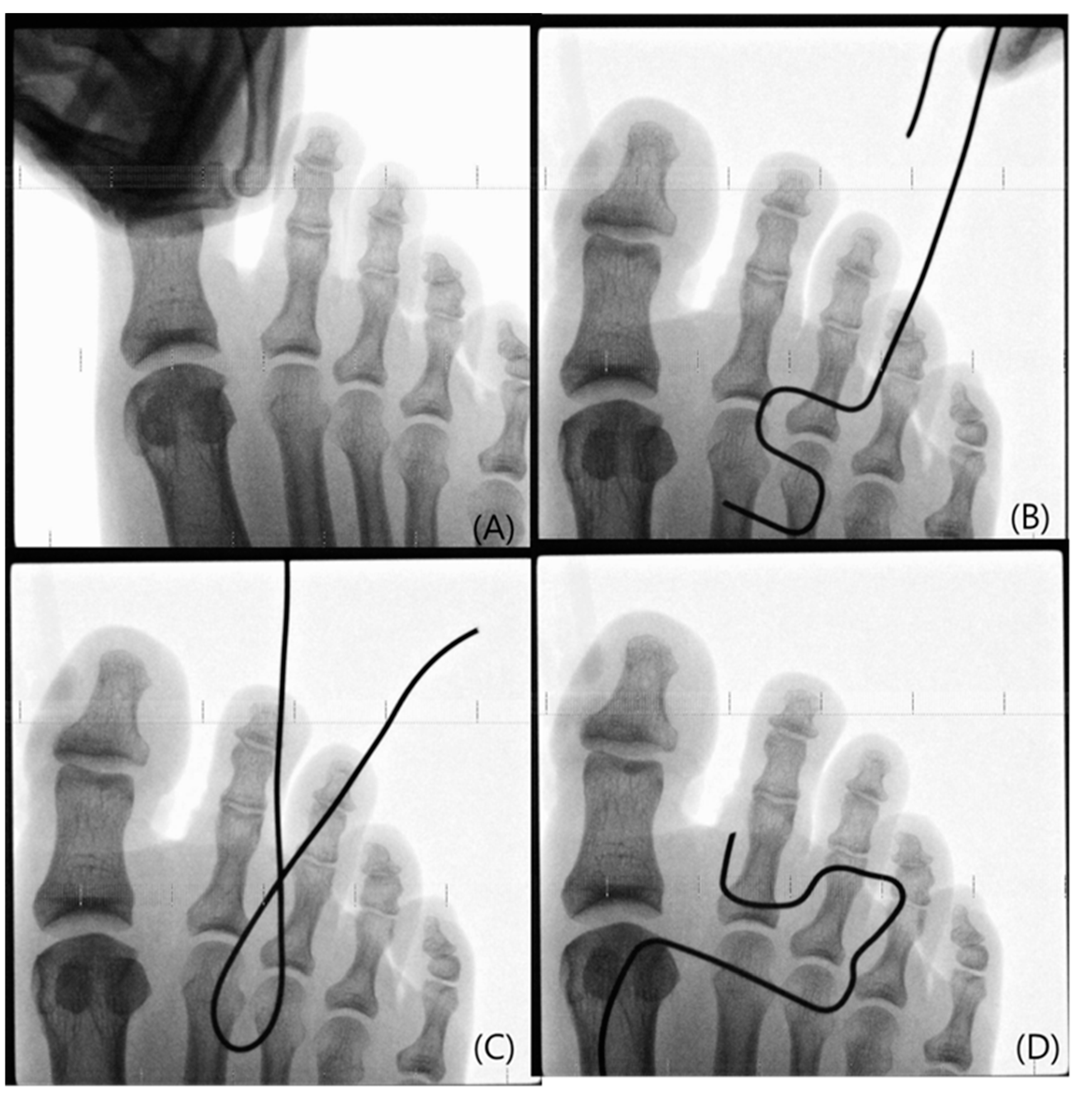Medicina 61 00654 g002