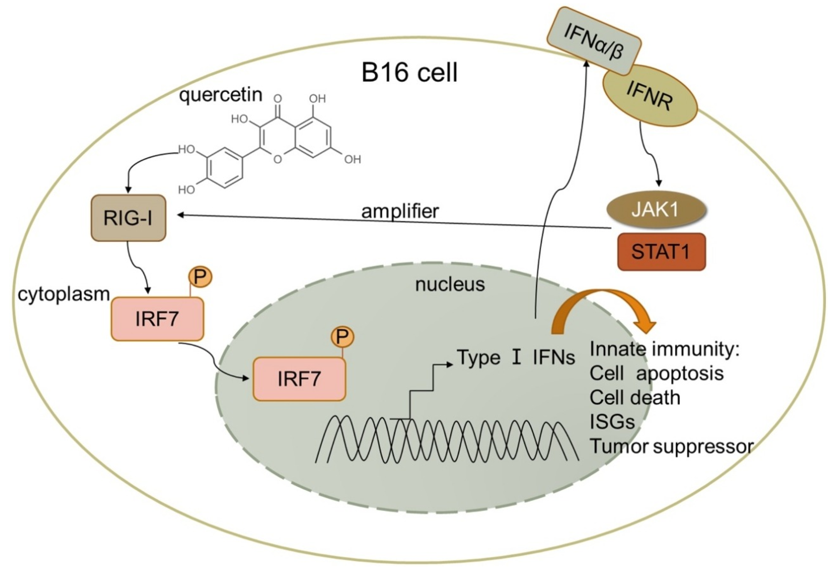 Medicina 61 00656 g003