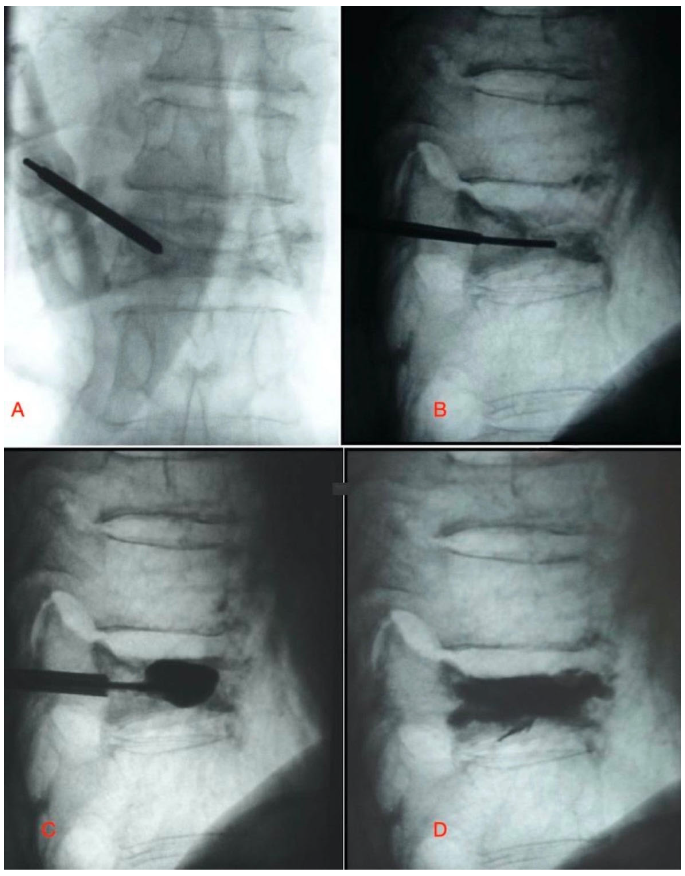 Medicina 61 00663 g001
