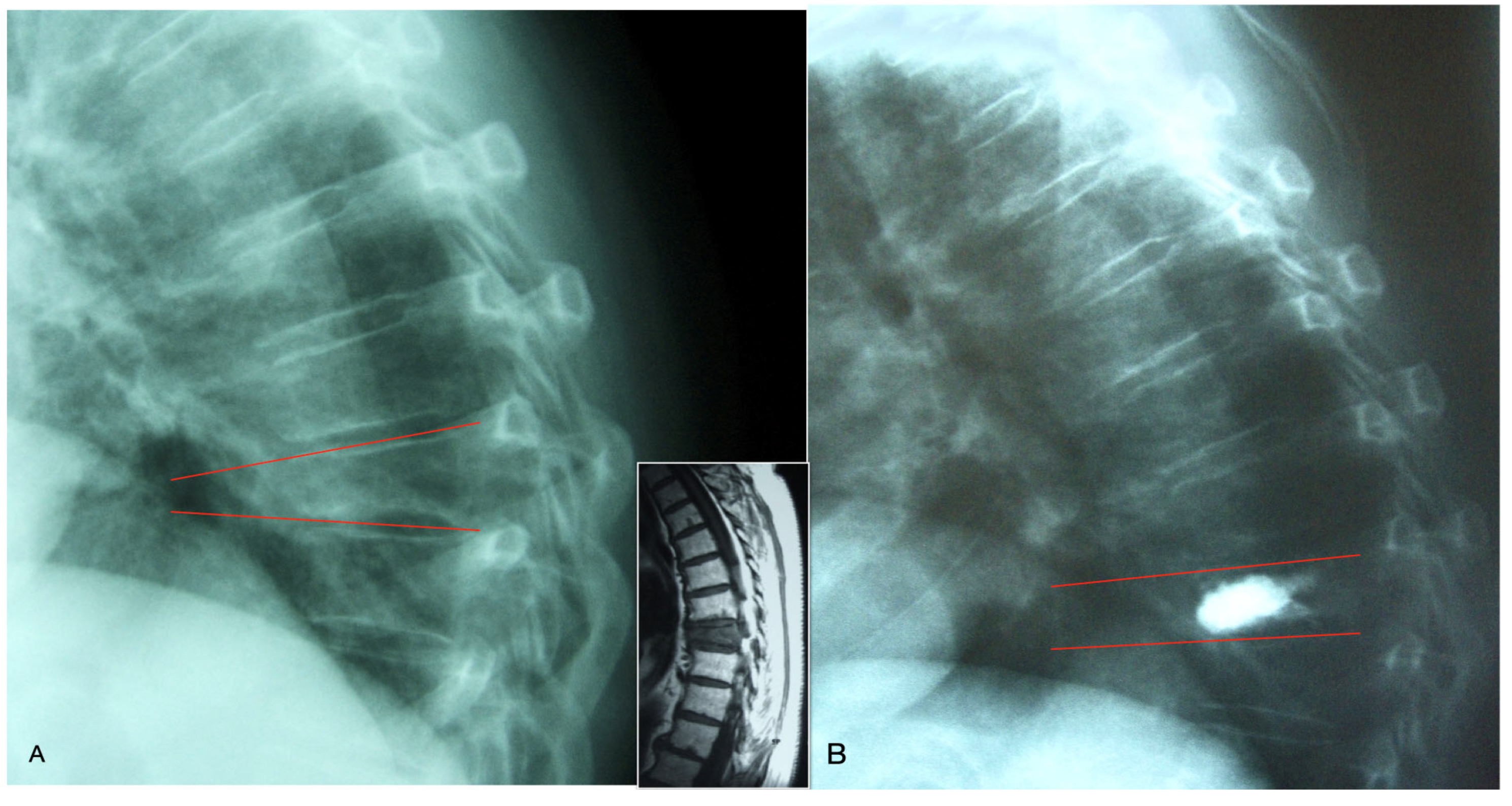 Medicina 61 00663 g002