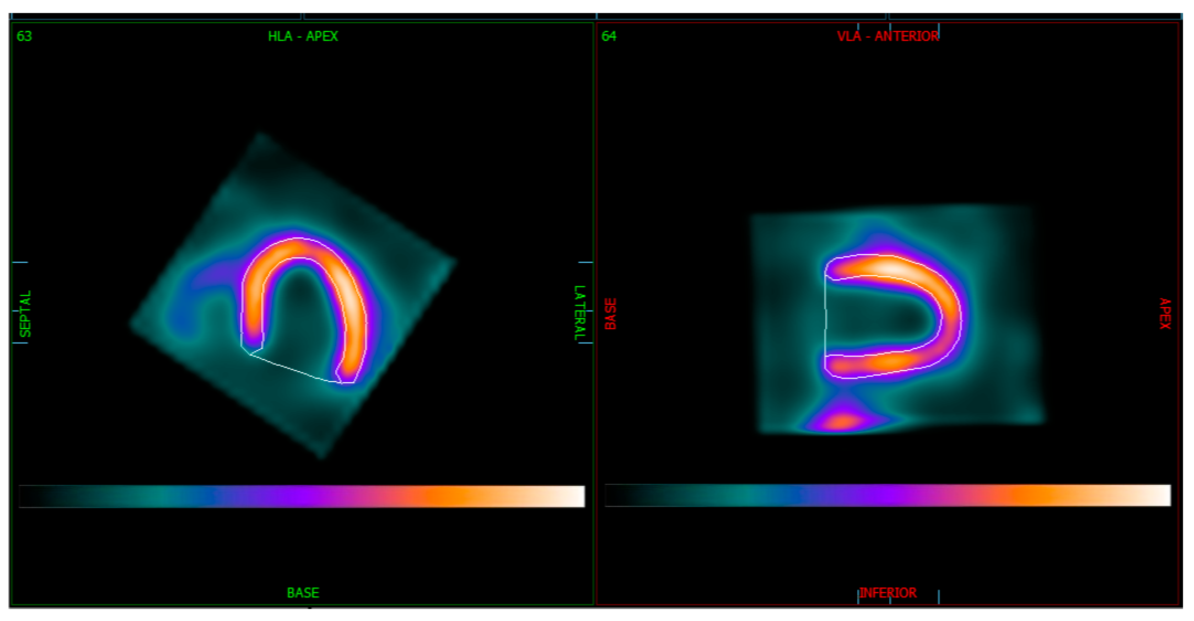 Medicina 61 00665 g002