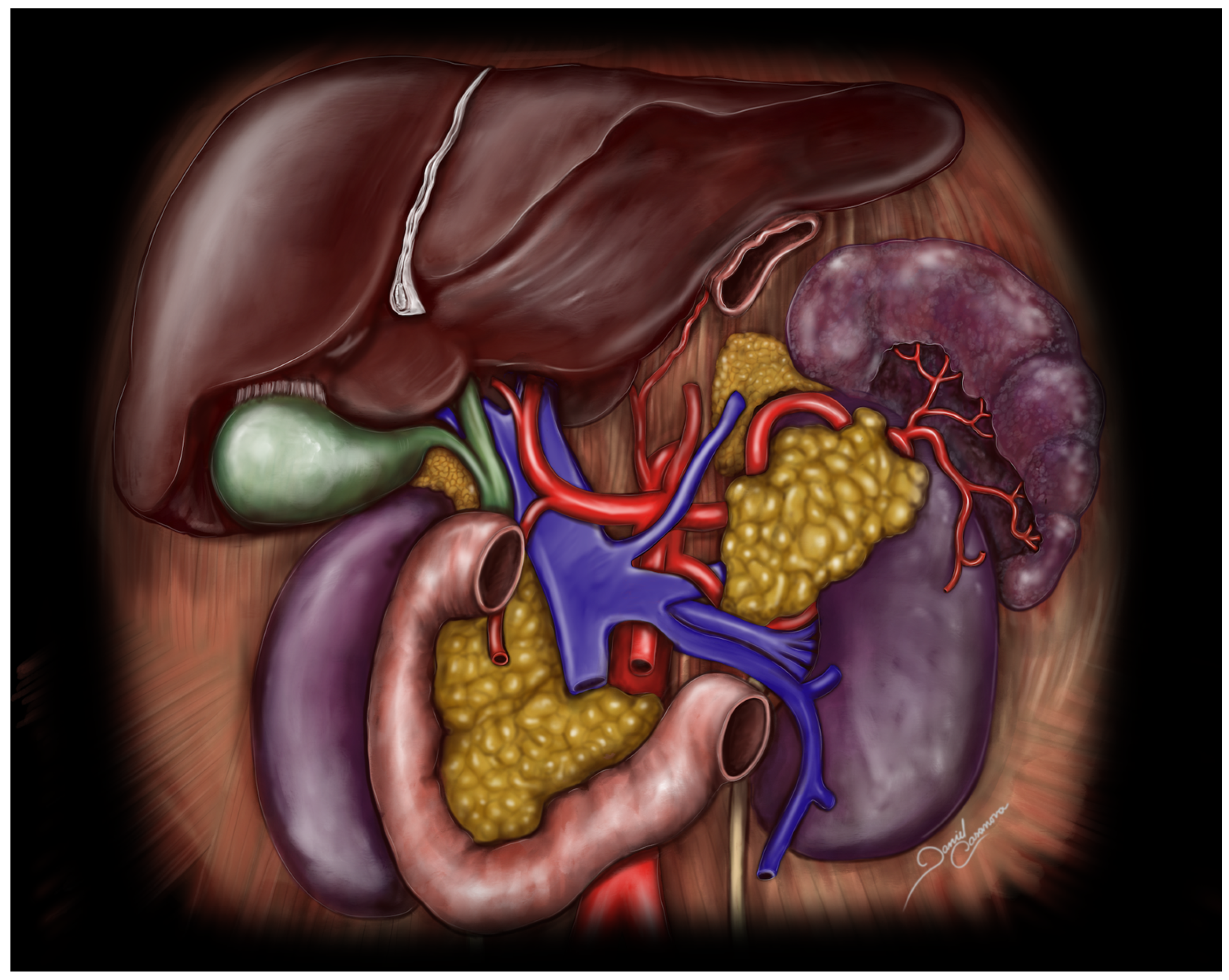 Medicina 61 00666 g002