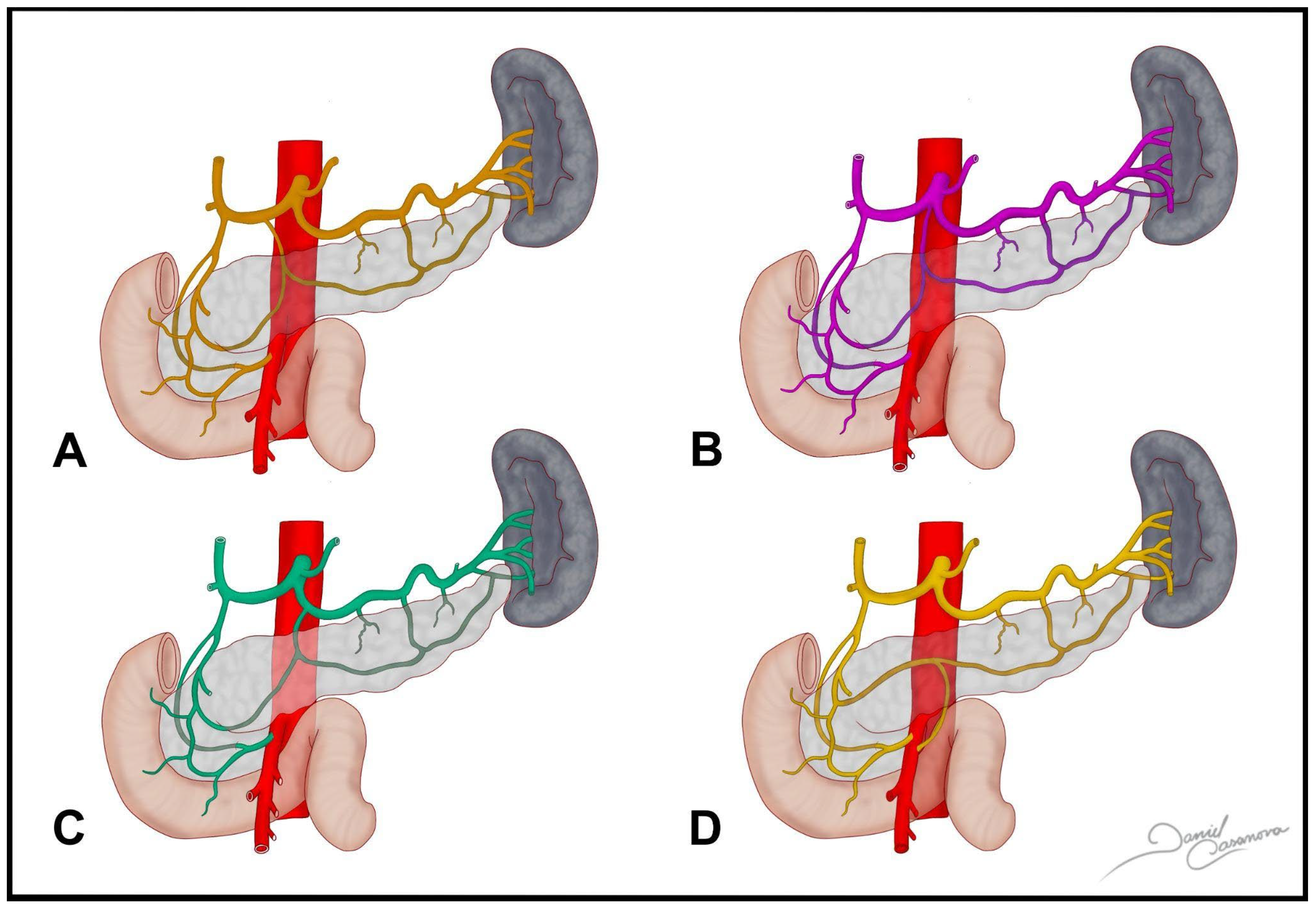 Medicina 61 00666 g003