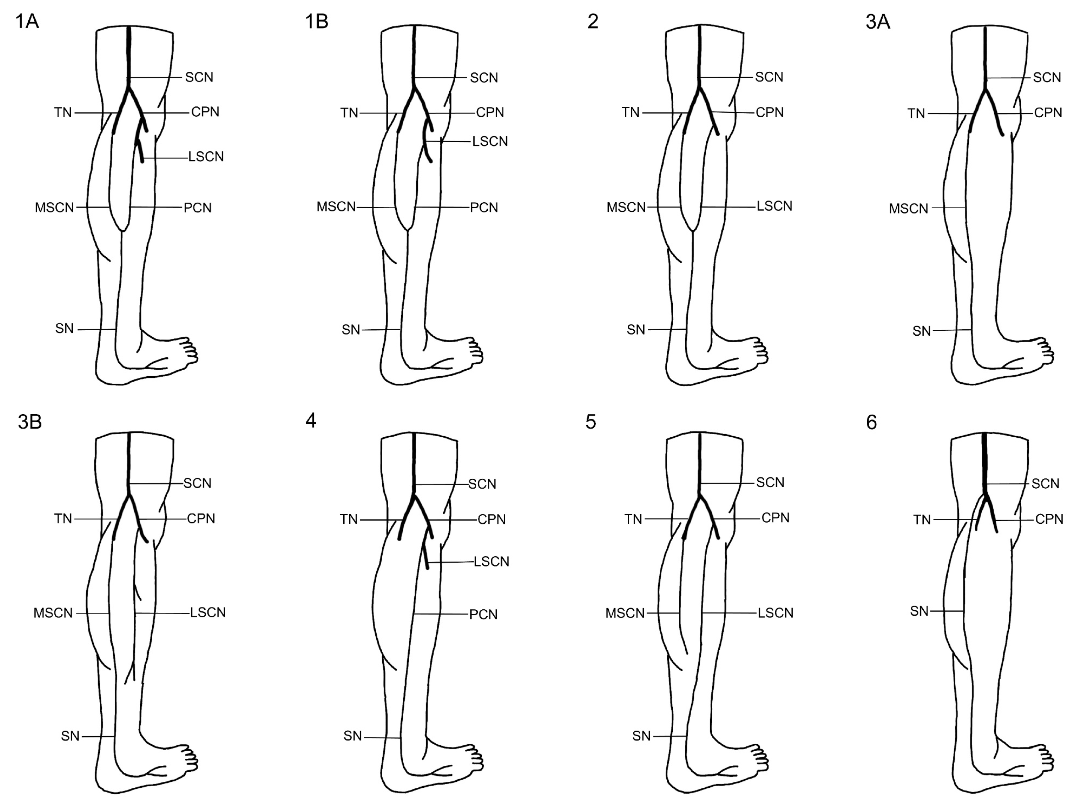 Medicina 61 00671 g002