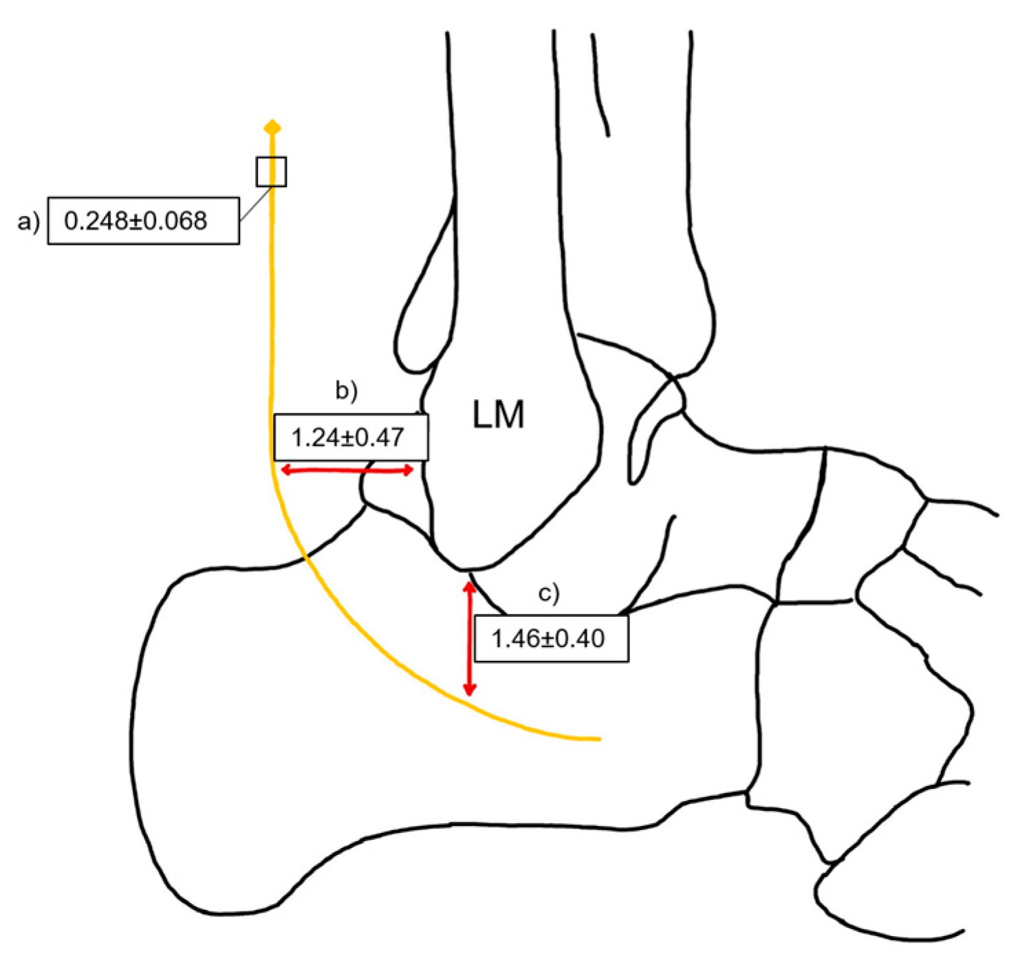 Medicina 61 00671 g010