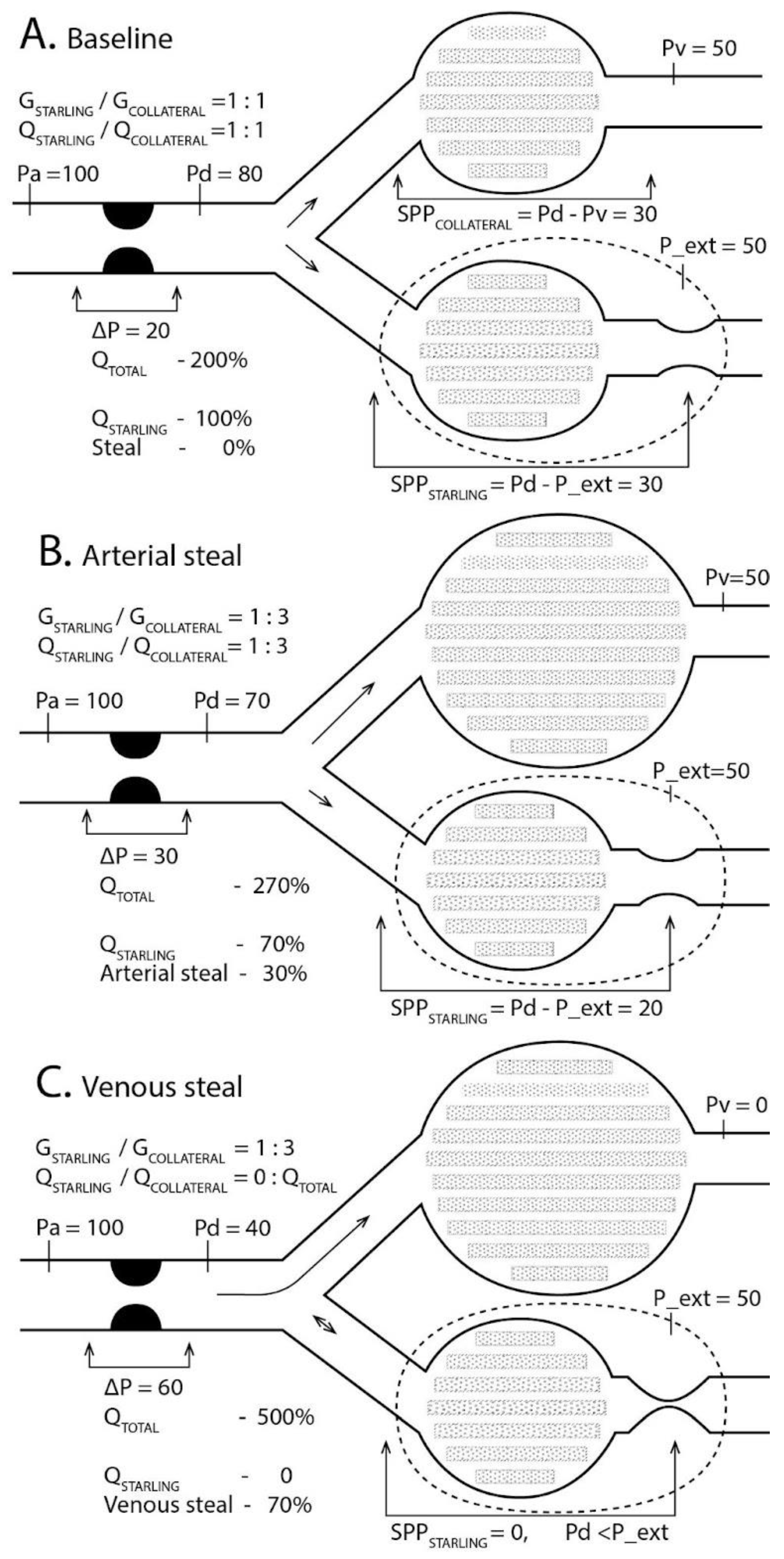 Medicina 61 00672 g001