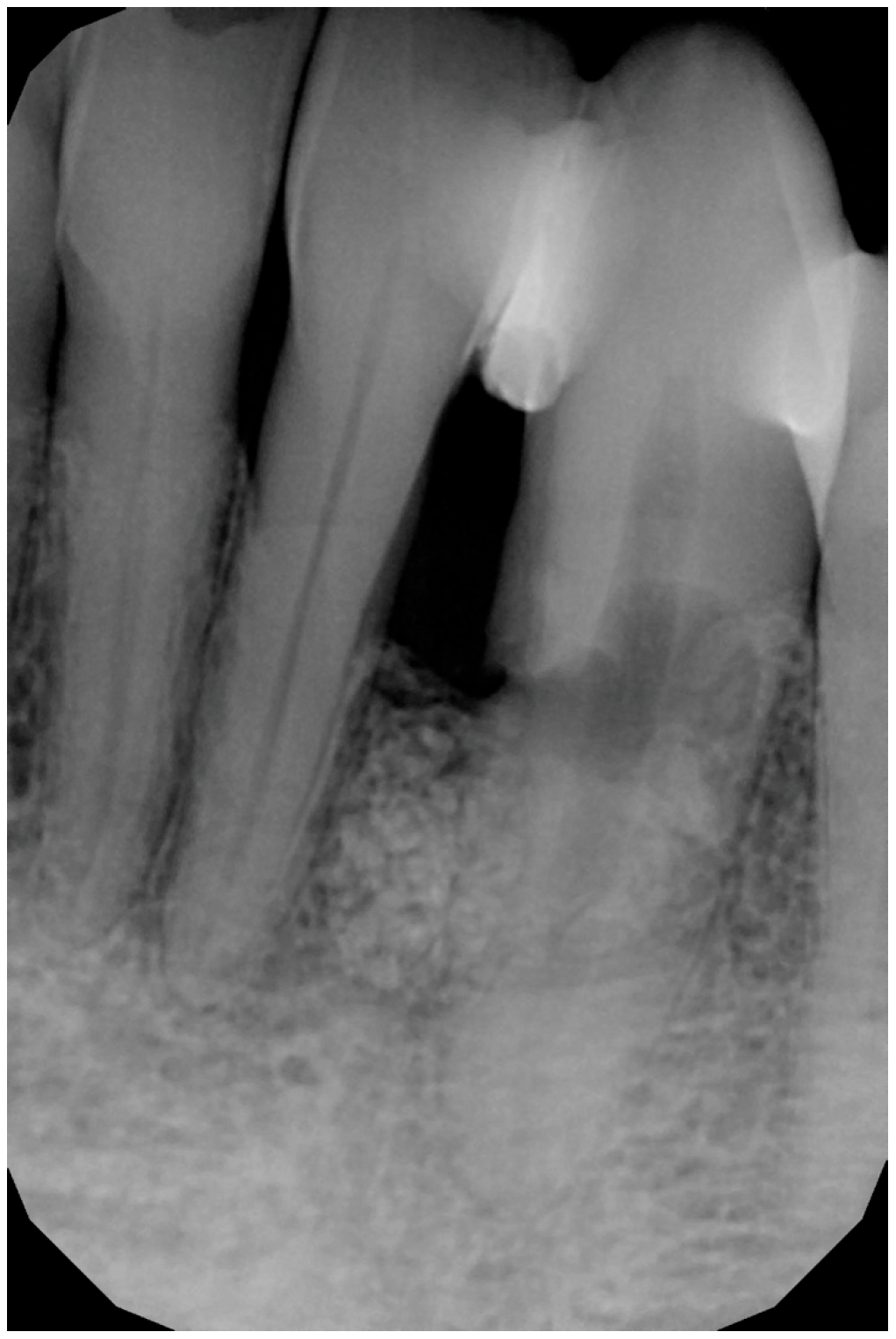 Medicina 61 00683 g001