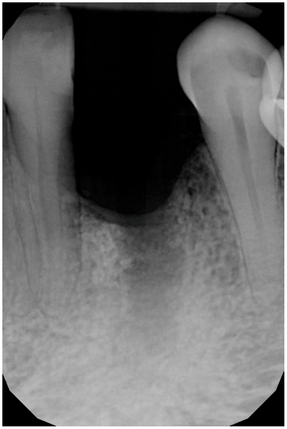 Medicina 61 00683 g002