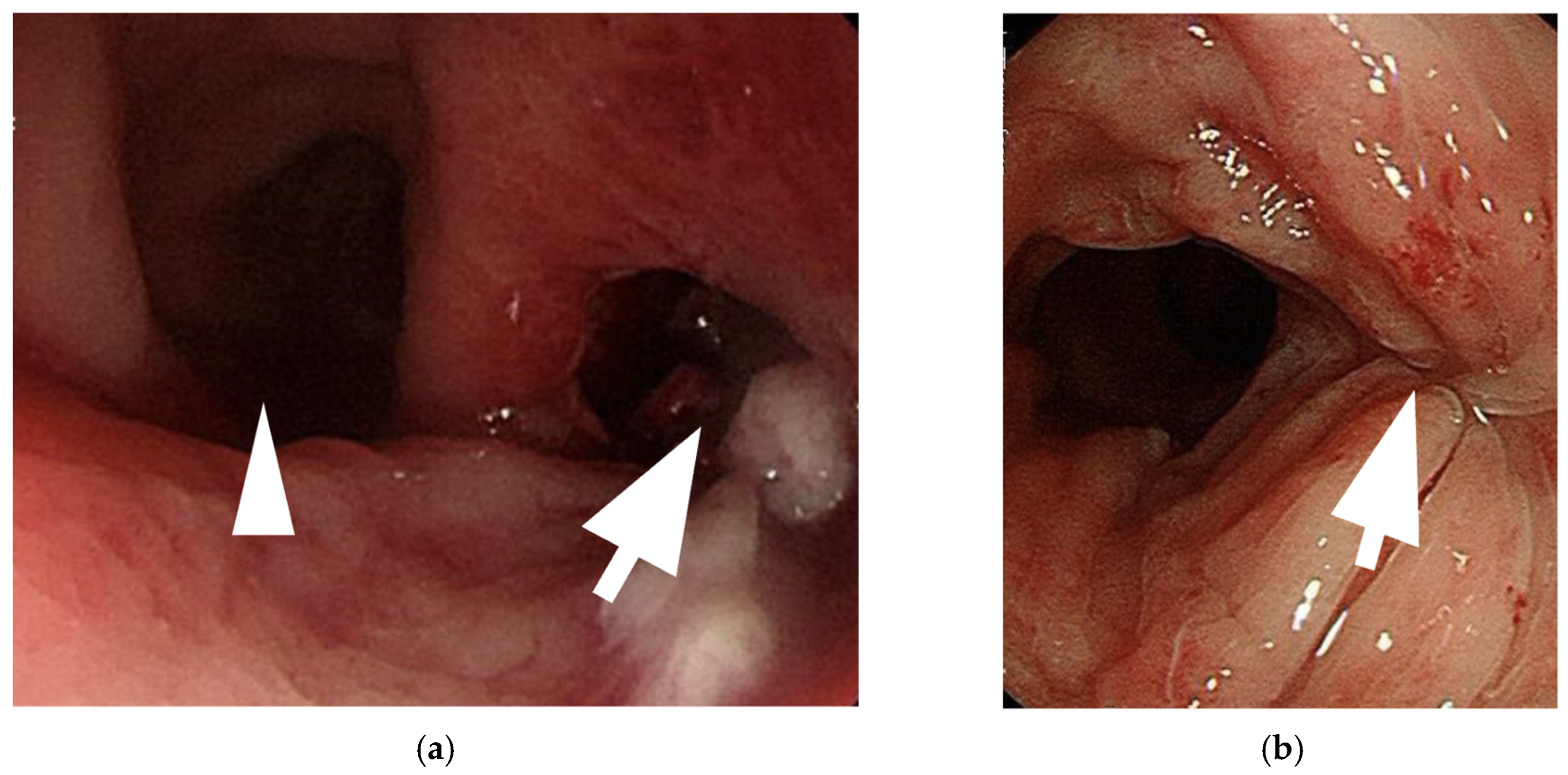 Medicina 61 00691 g002
