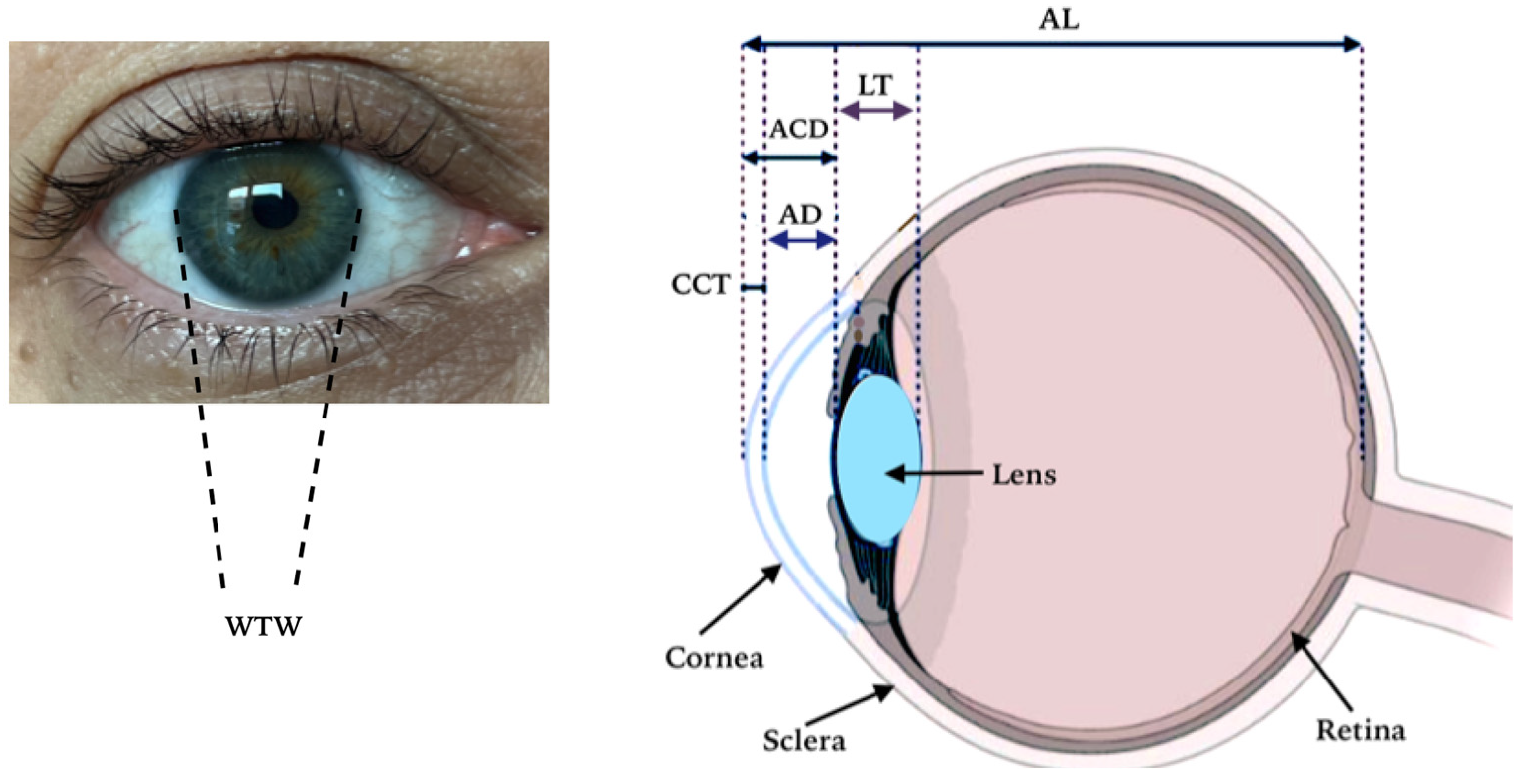 Medicina 61 00692 g001