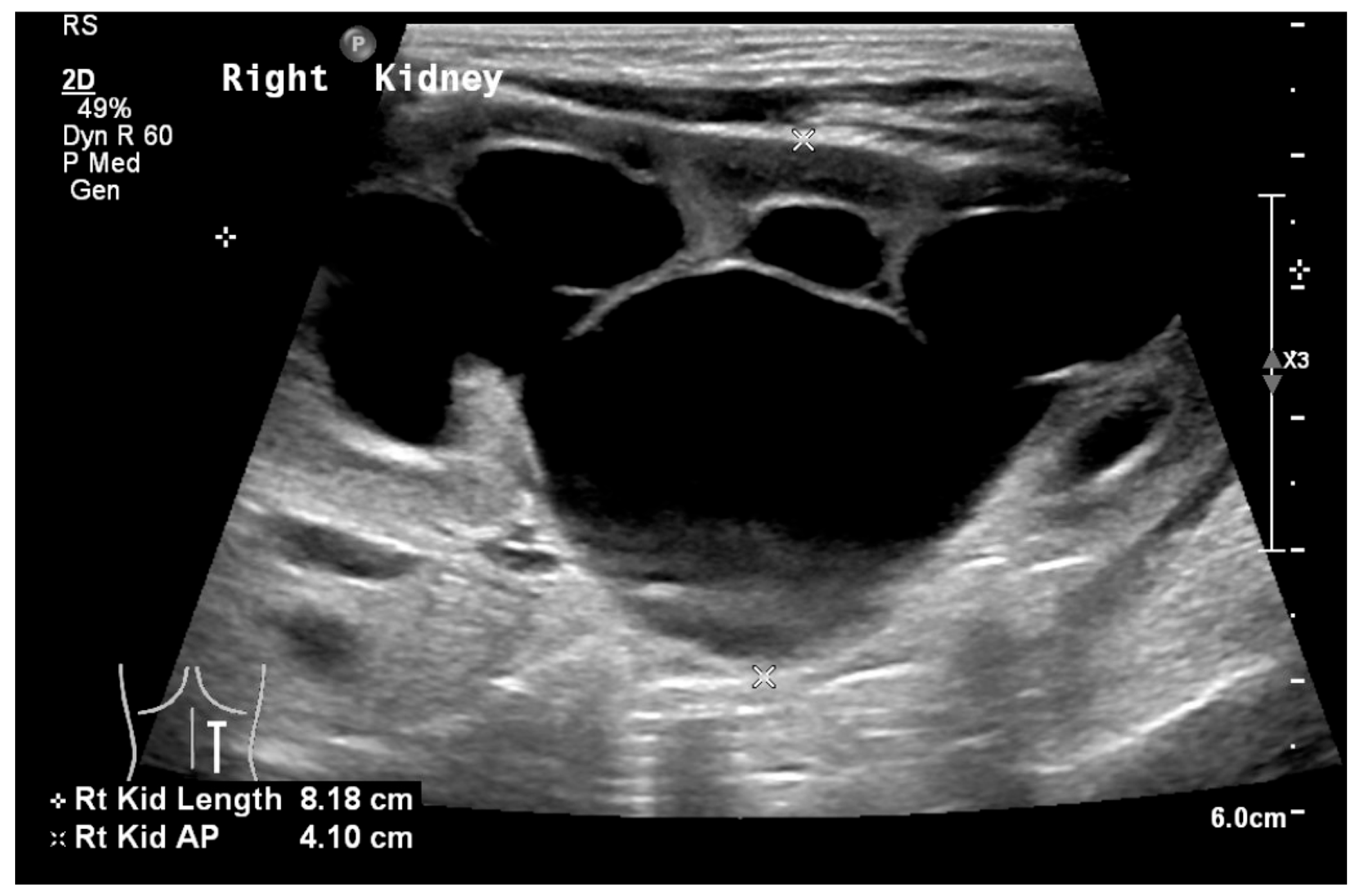 Medicina 61 00696 g002