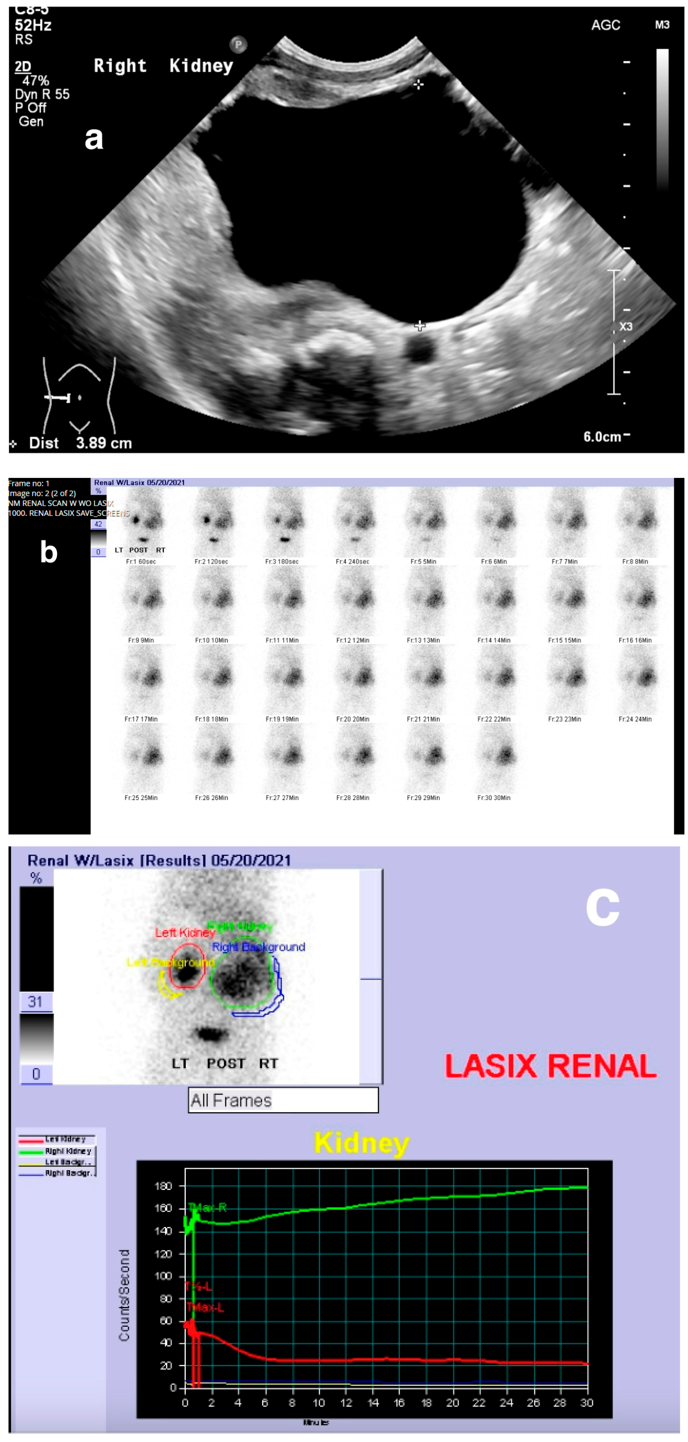 Medicina 61 00696 g010