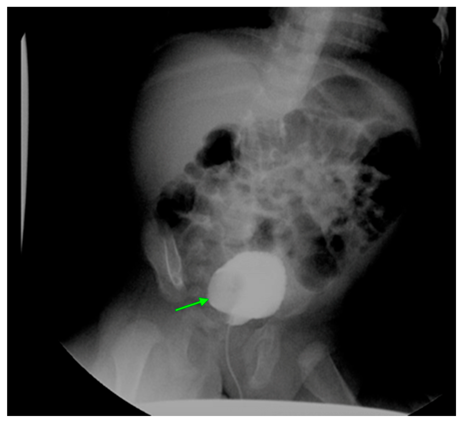 Medicina 61 00696 g015