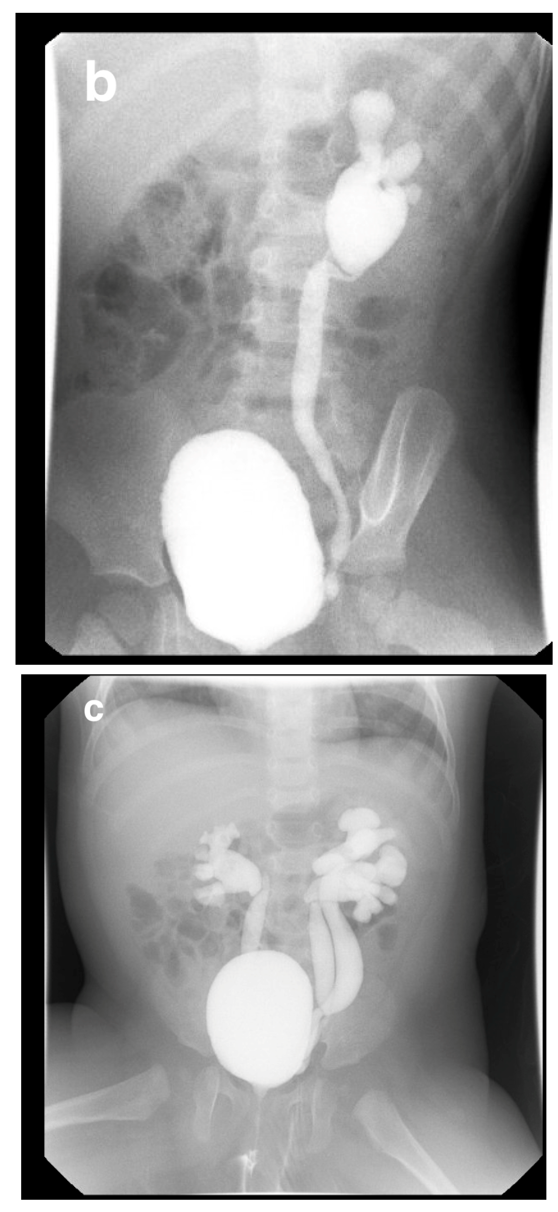 Medicina 61 00696 g016b