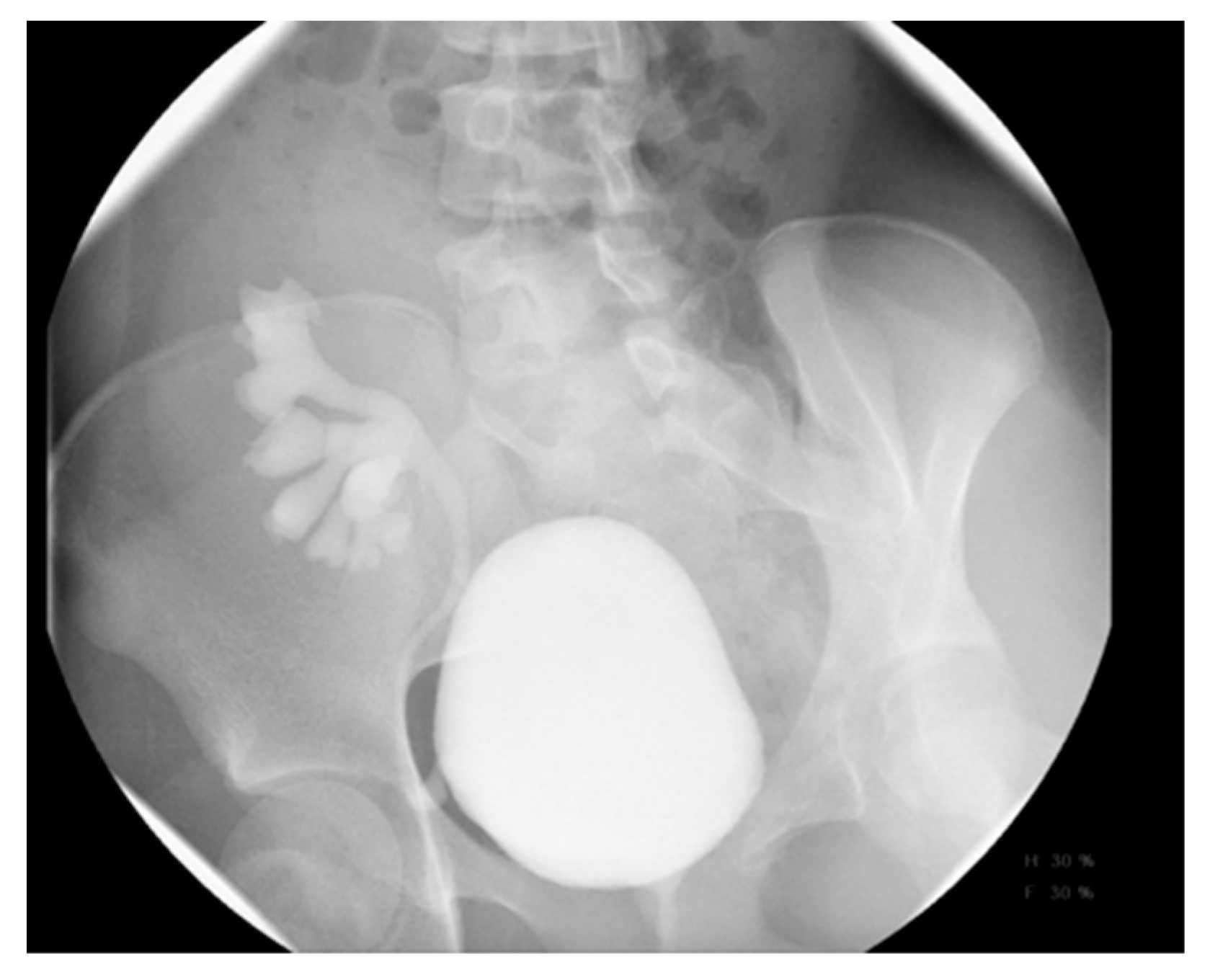 Medicina 61 00696 g017