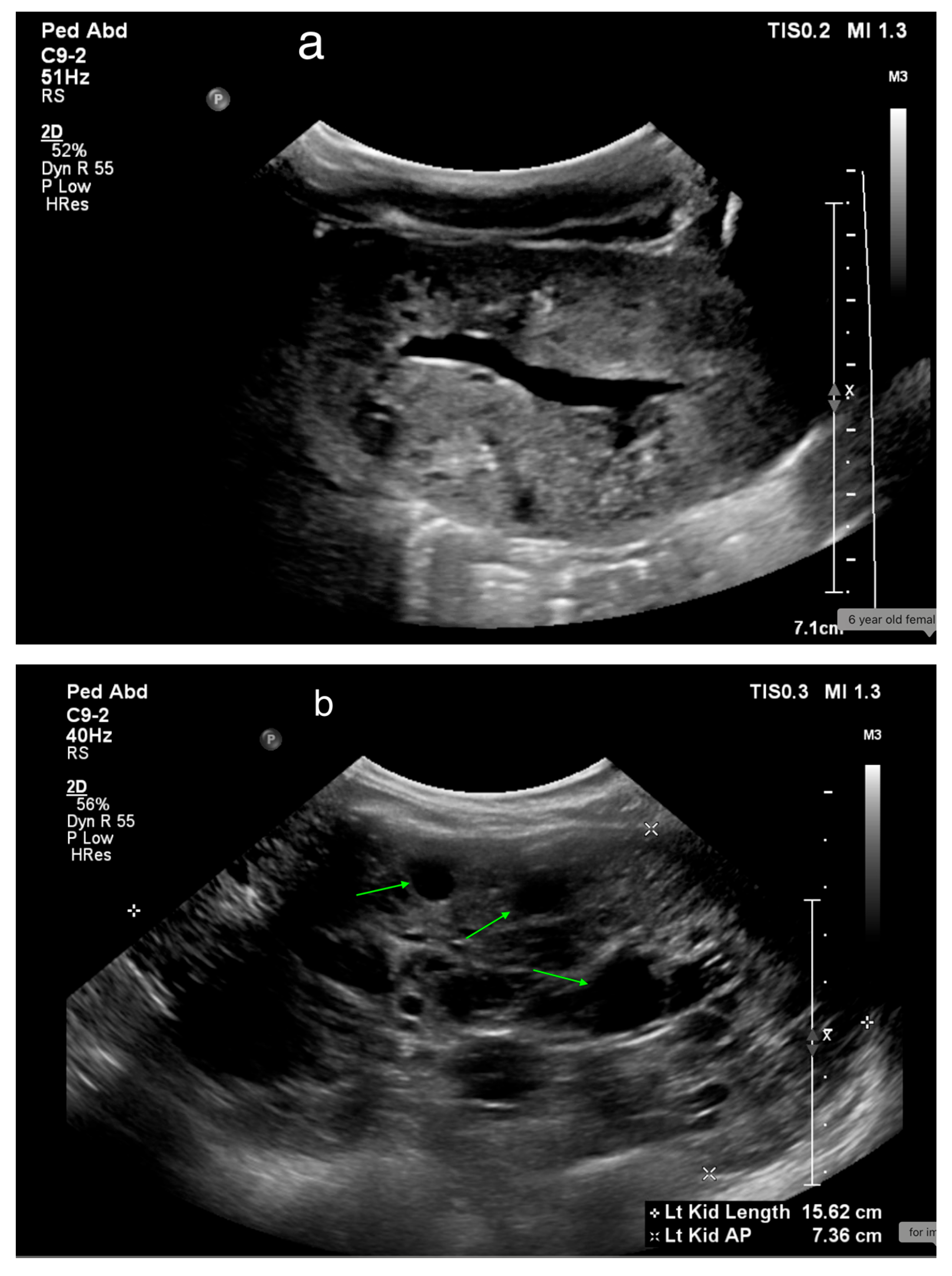 Medicina 61 00696 g018