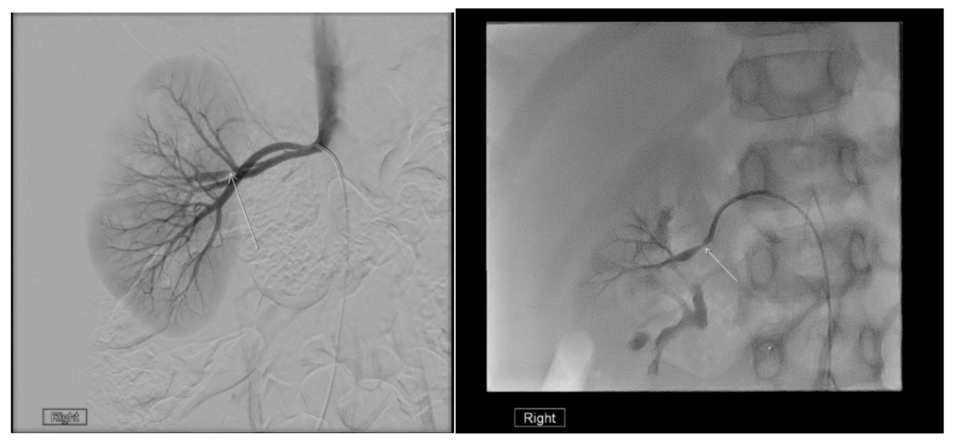 Medicina 61 00696 g024