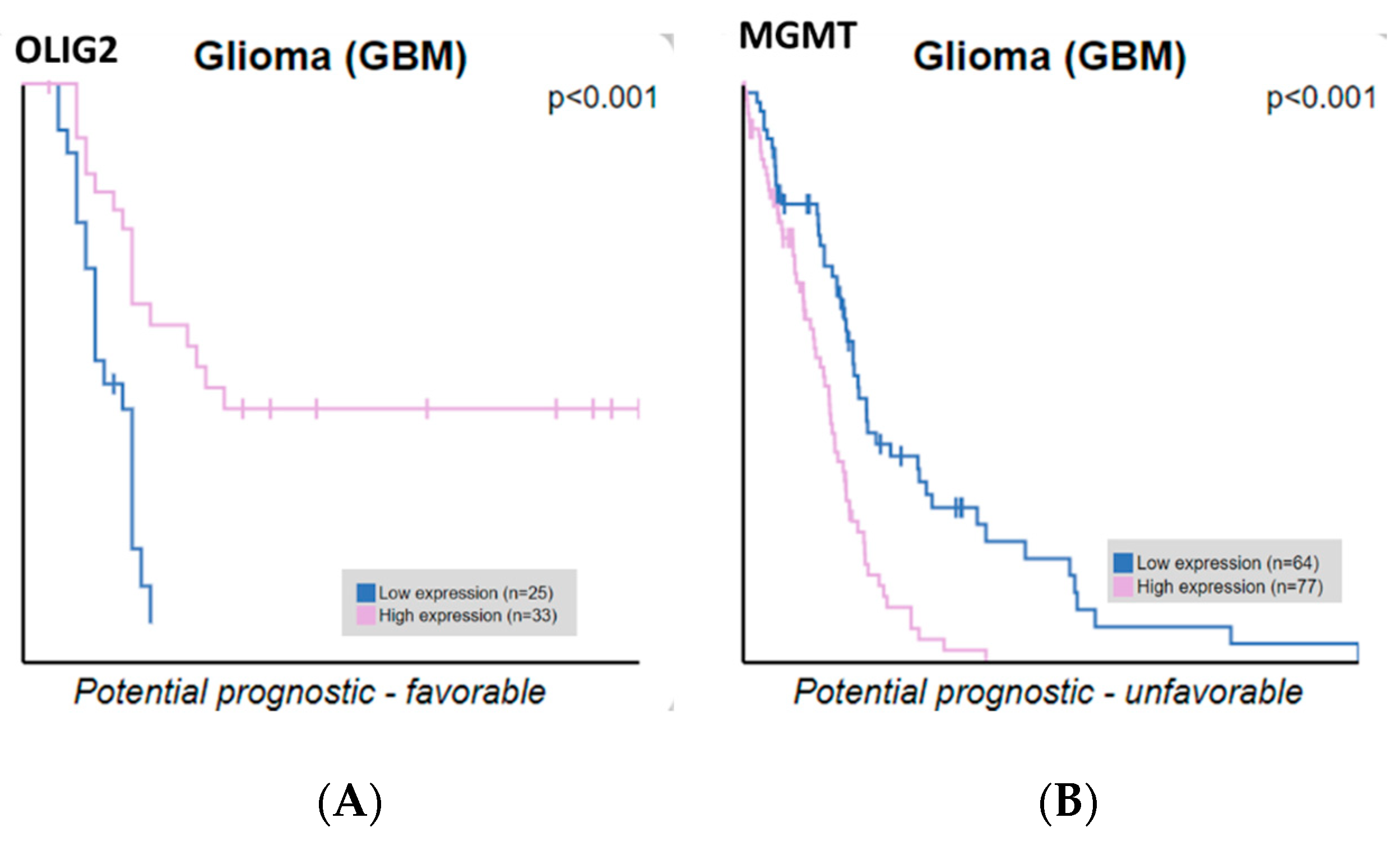 Medicina 61 00697 g006
