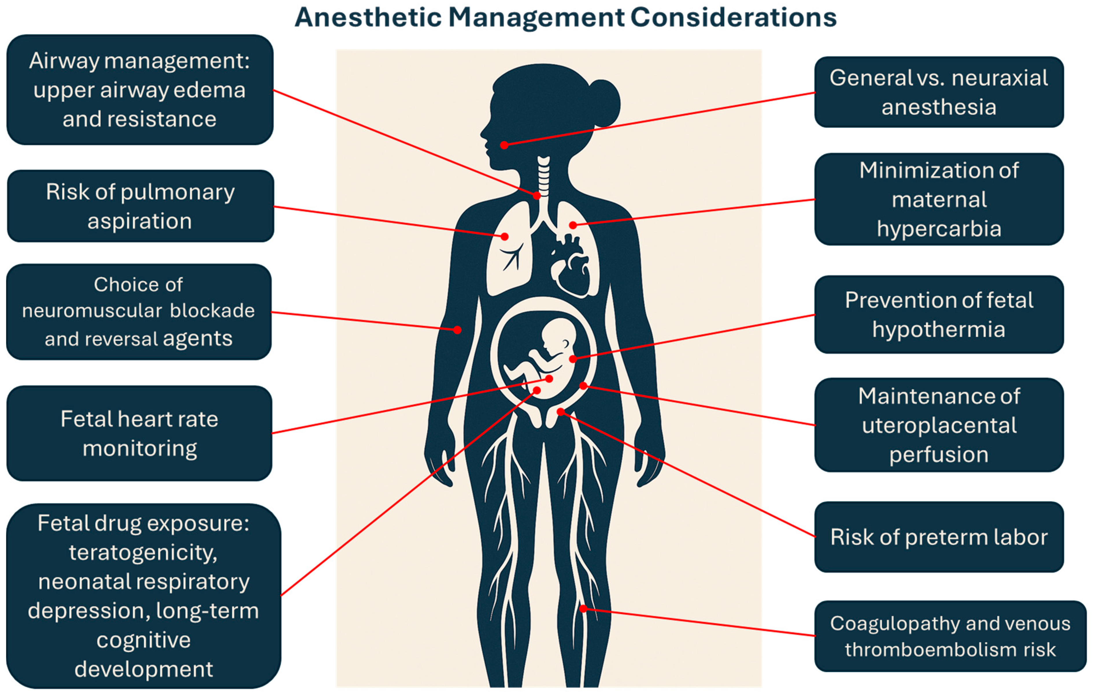 Medicina 61 00698 g001