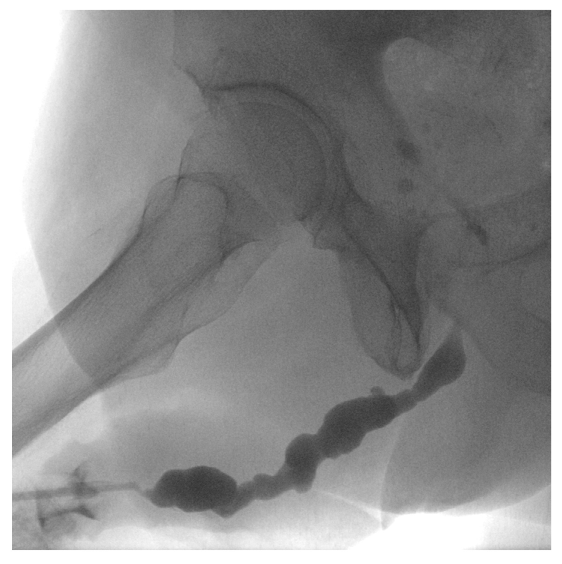 Medicina 61 00700 g001