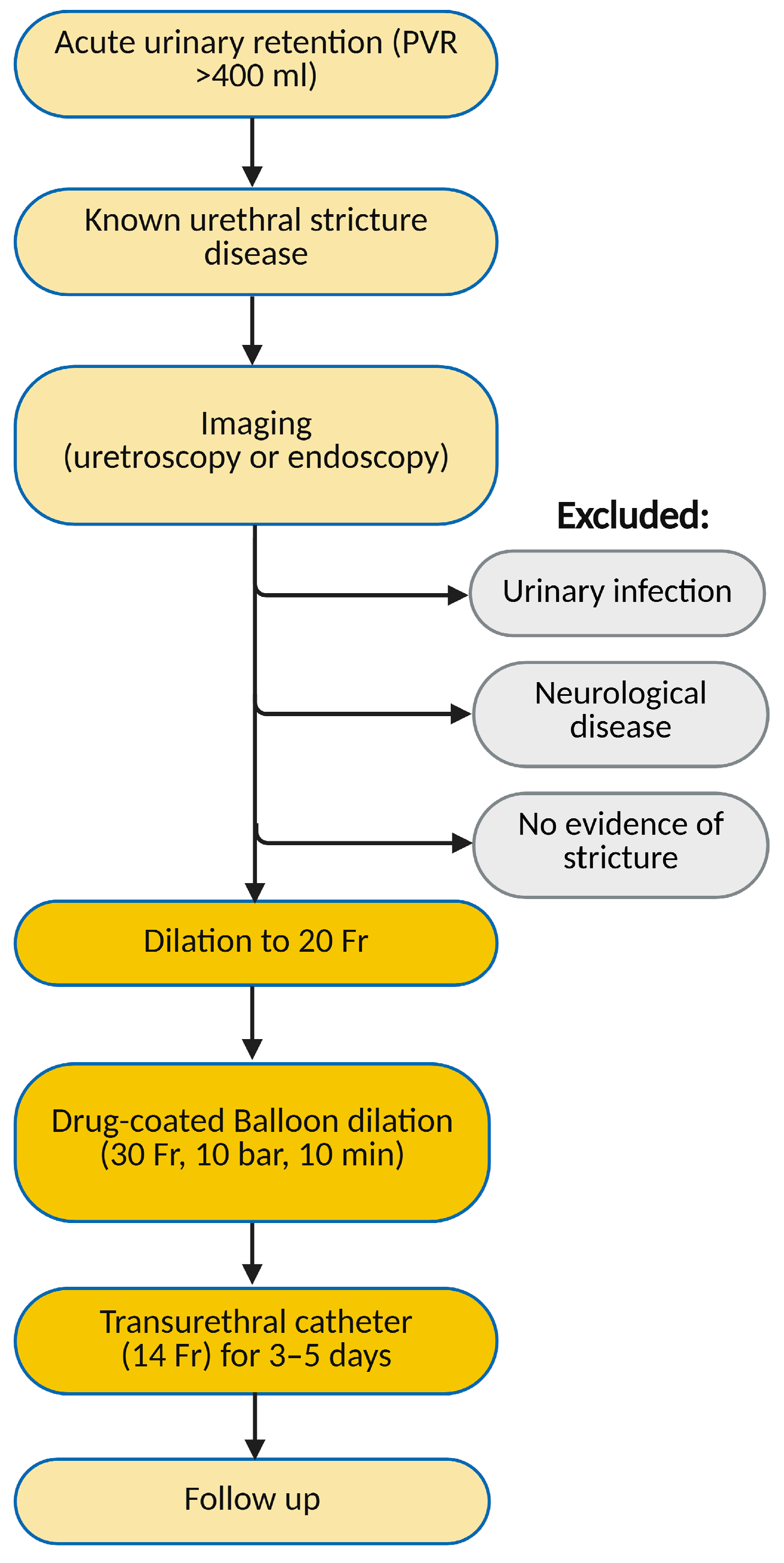 Medicina 61 00700 g003