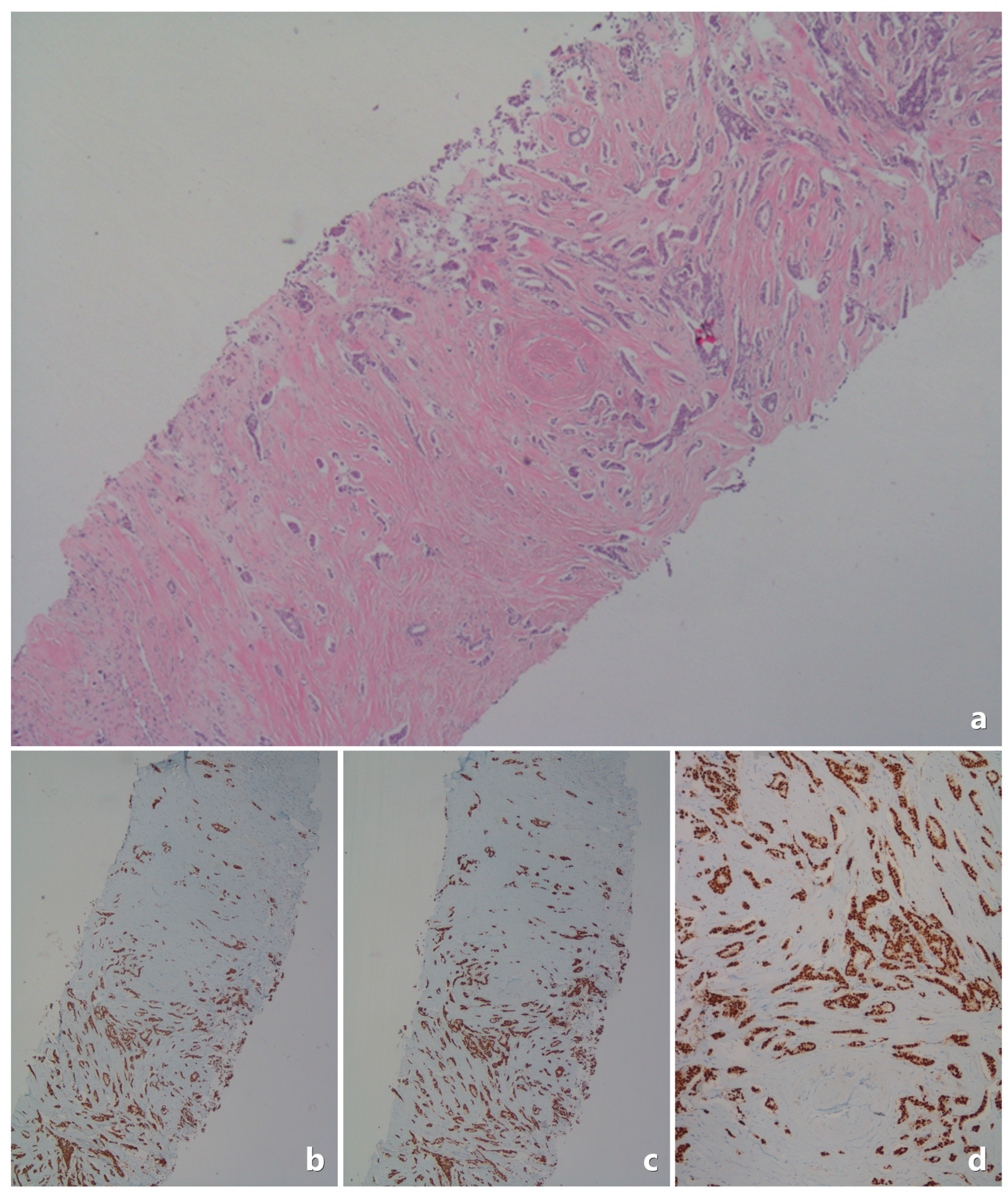 Medicina 61 00710 g002