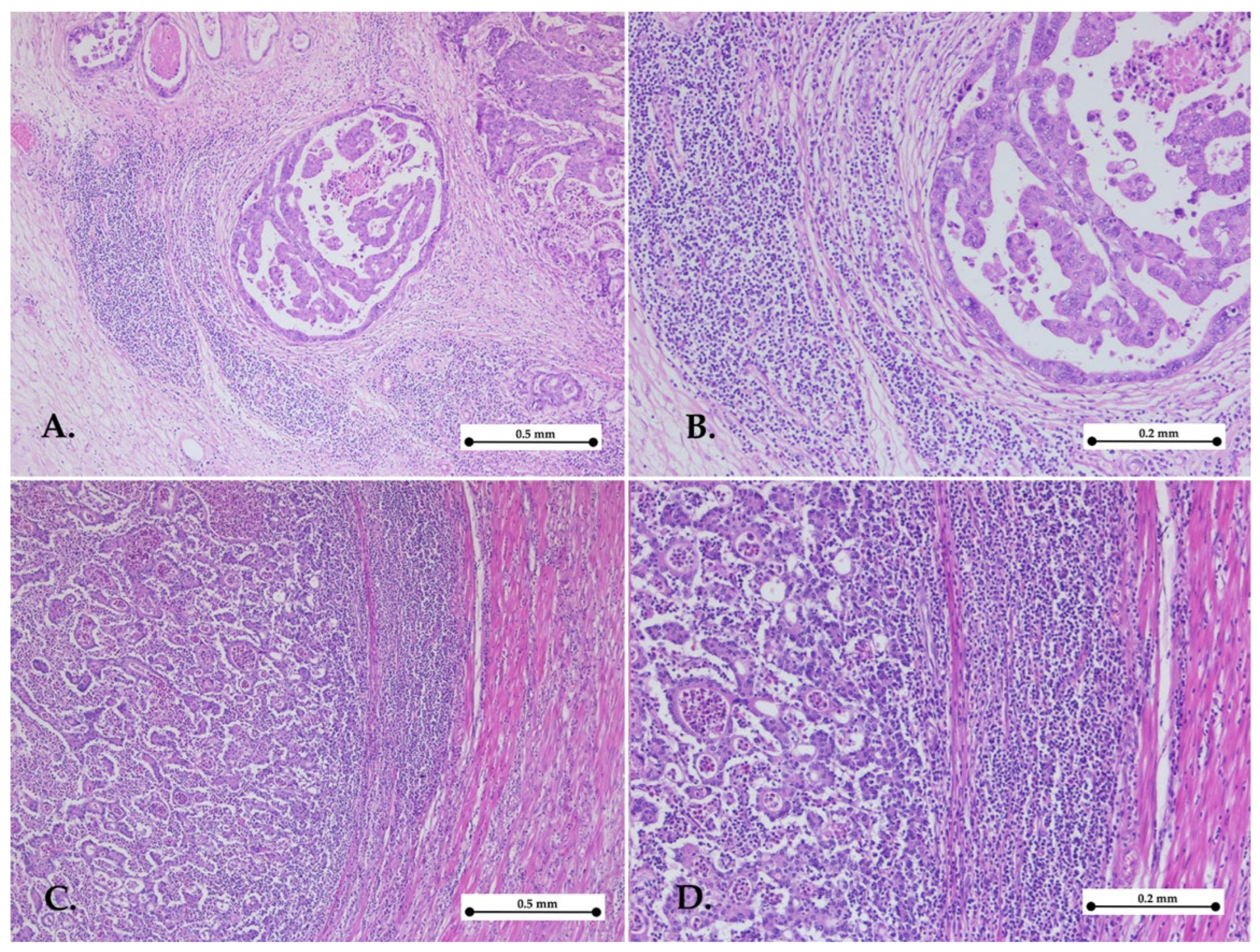 Medicina 61 00715 g001