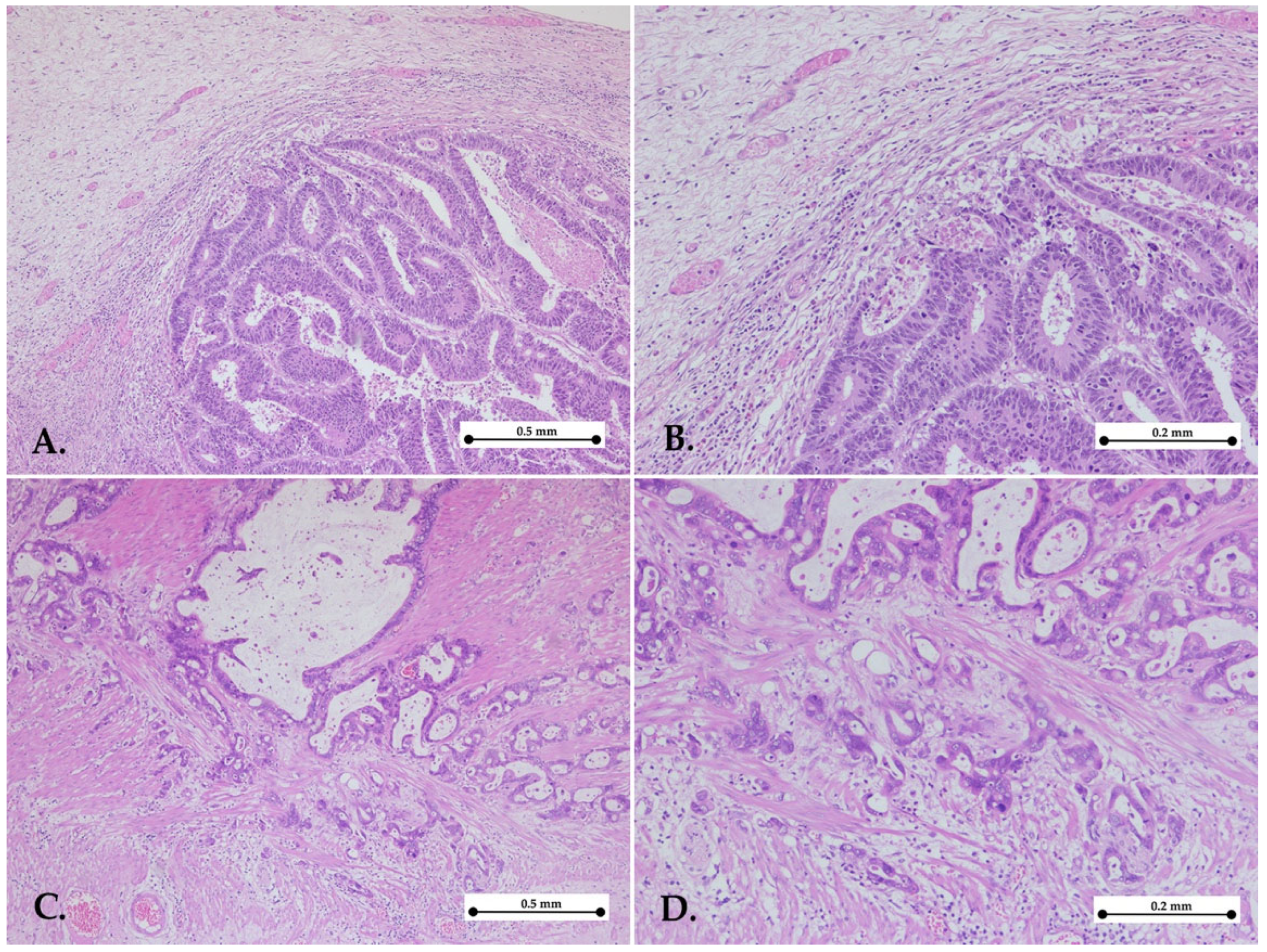 Medicina 61 00715 g002