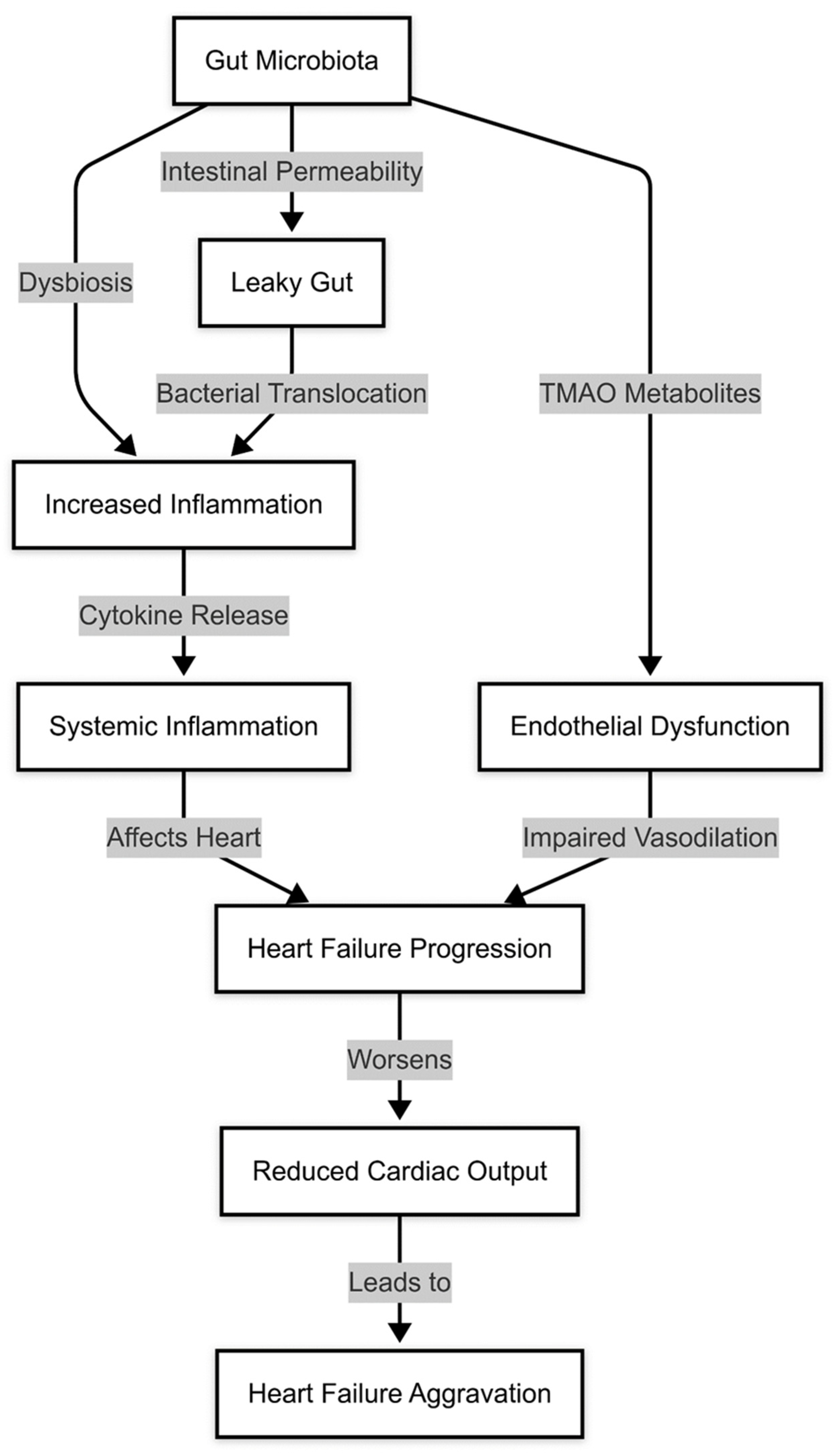 Medicina 61 00720 g002