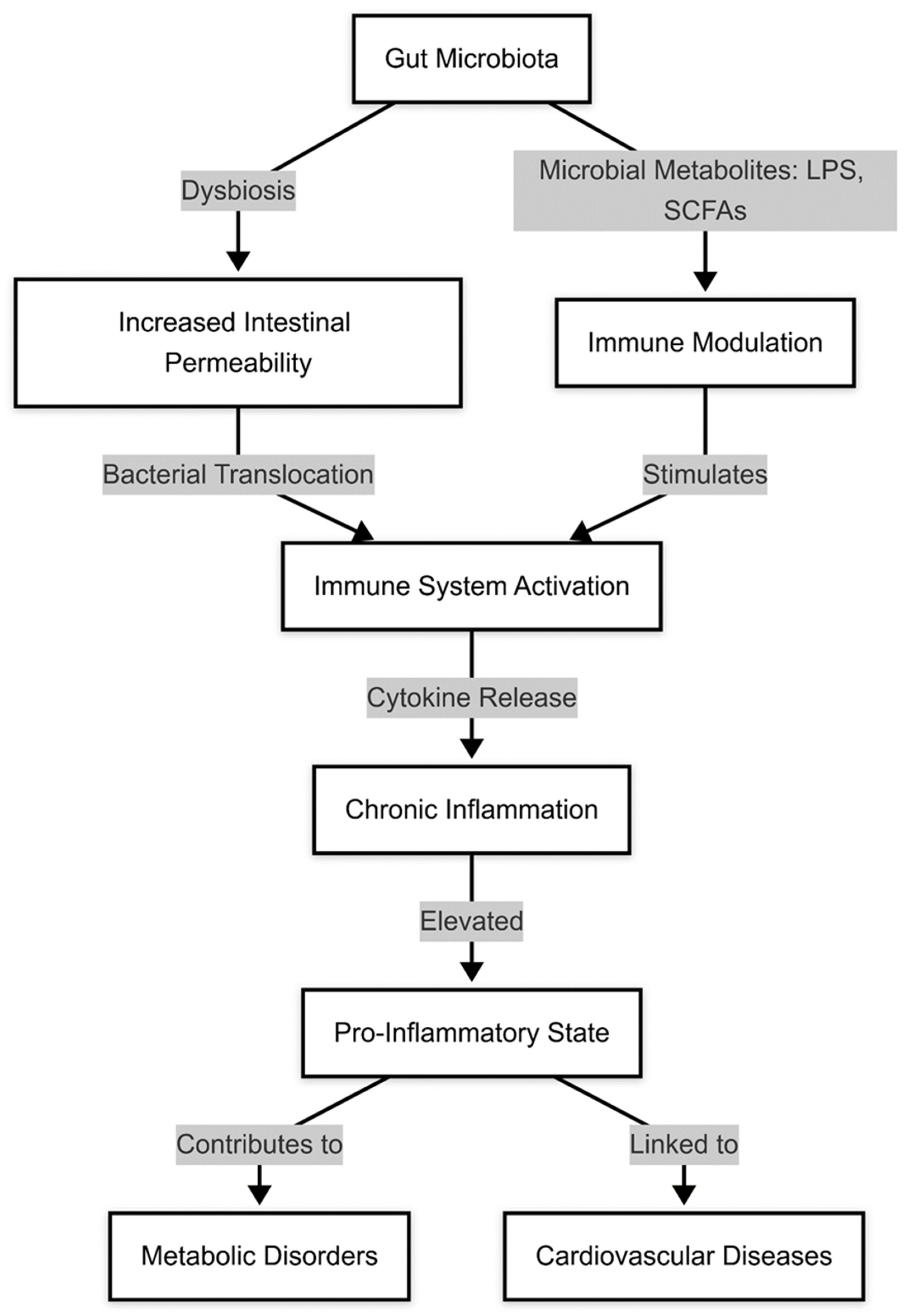 Medicina 61 00720 g003
