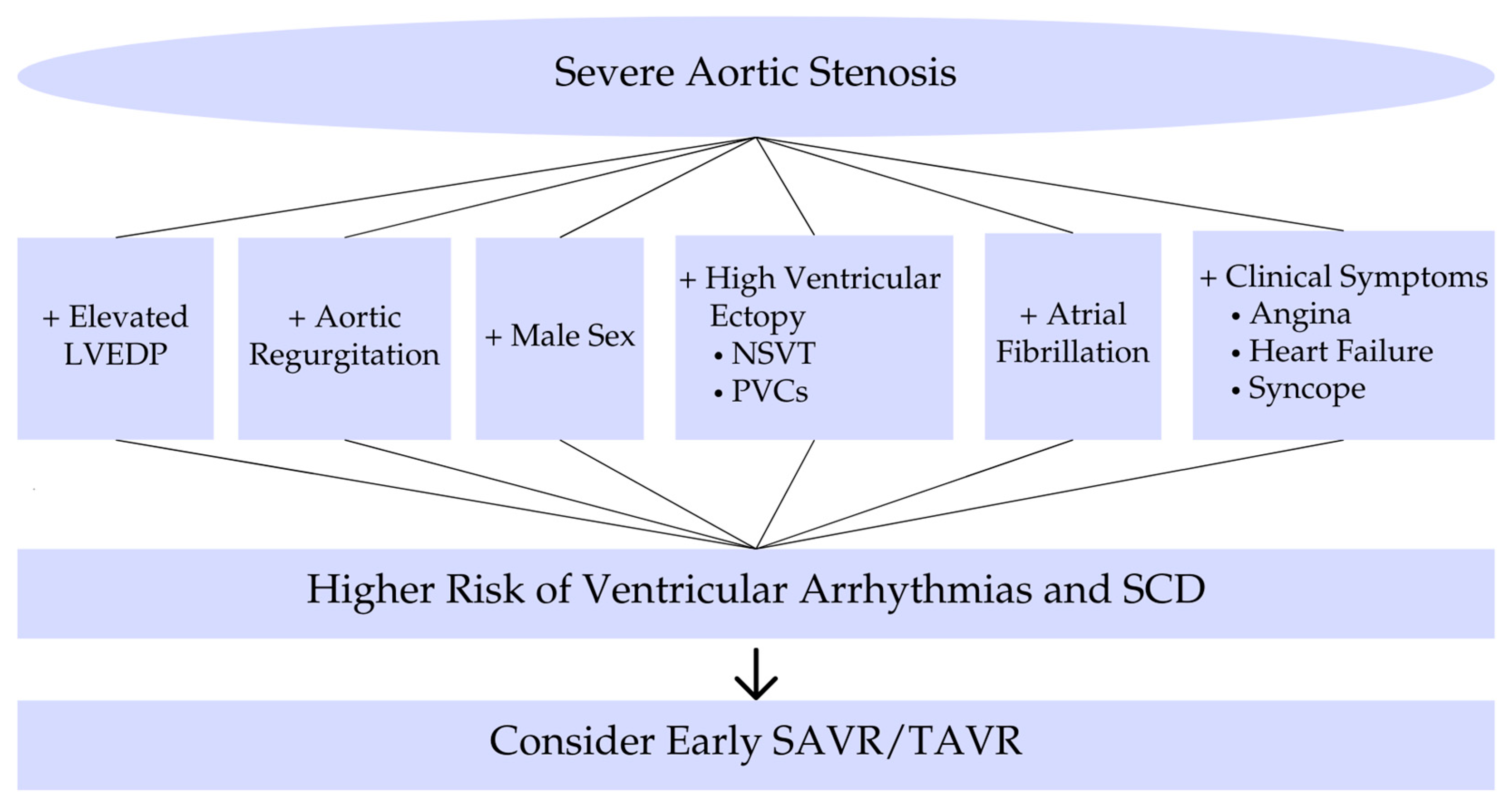 Medicina 61 00721 g002