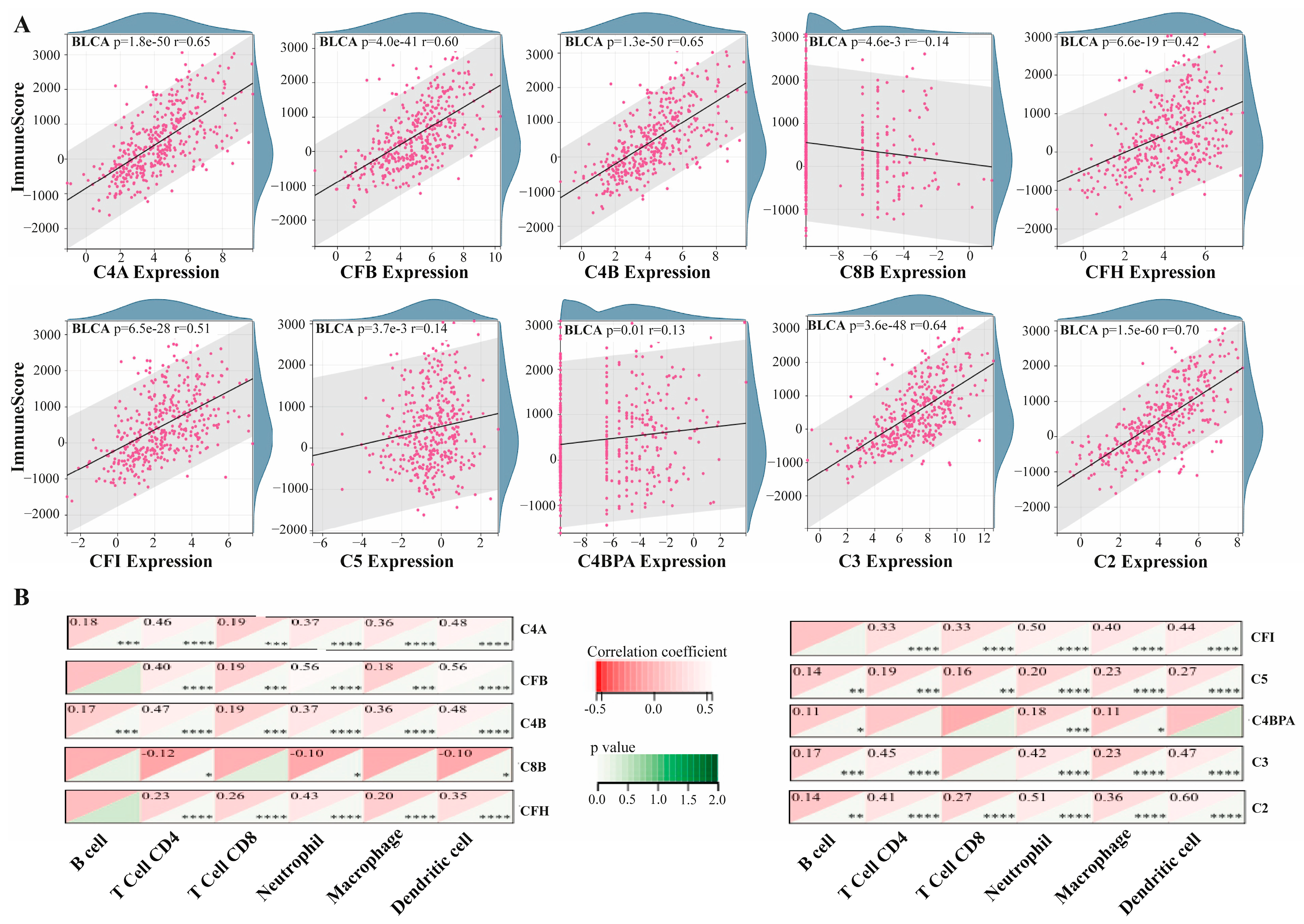 Medicina 61 00735 g002