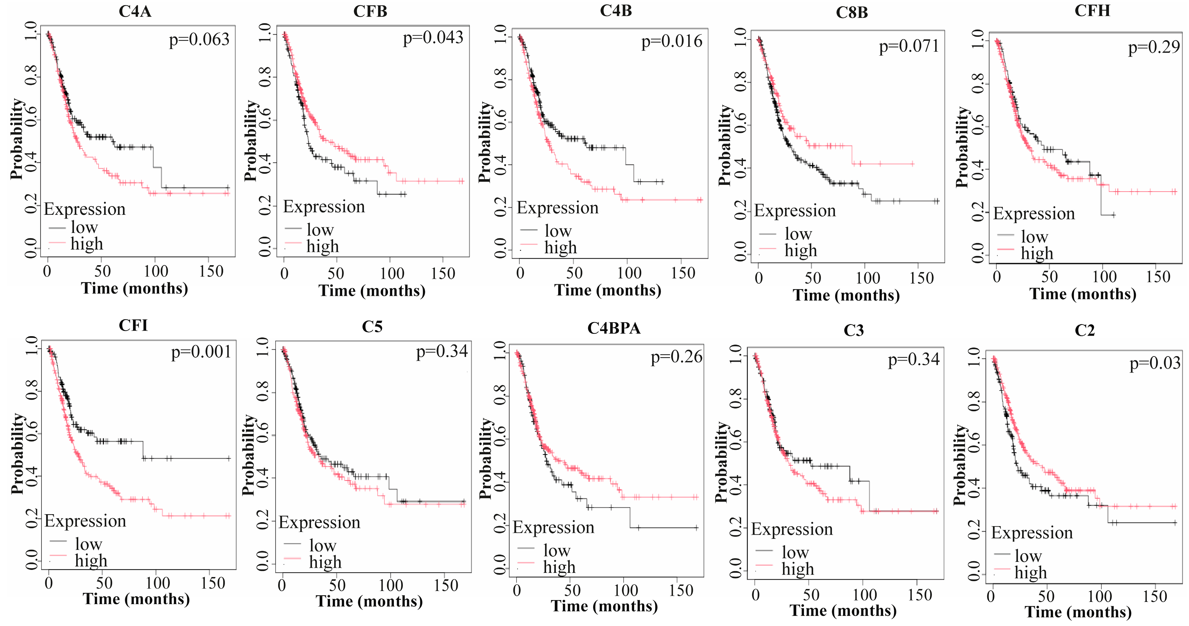 Medicina 61 00735 g004