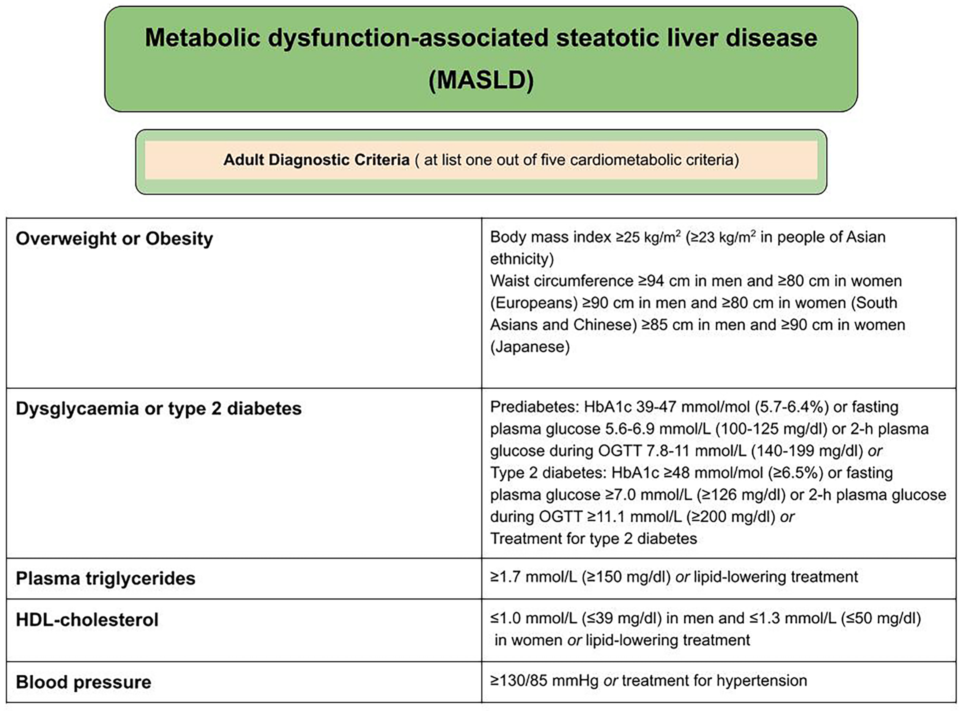 Medicina 61 00736 g001